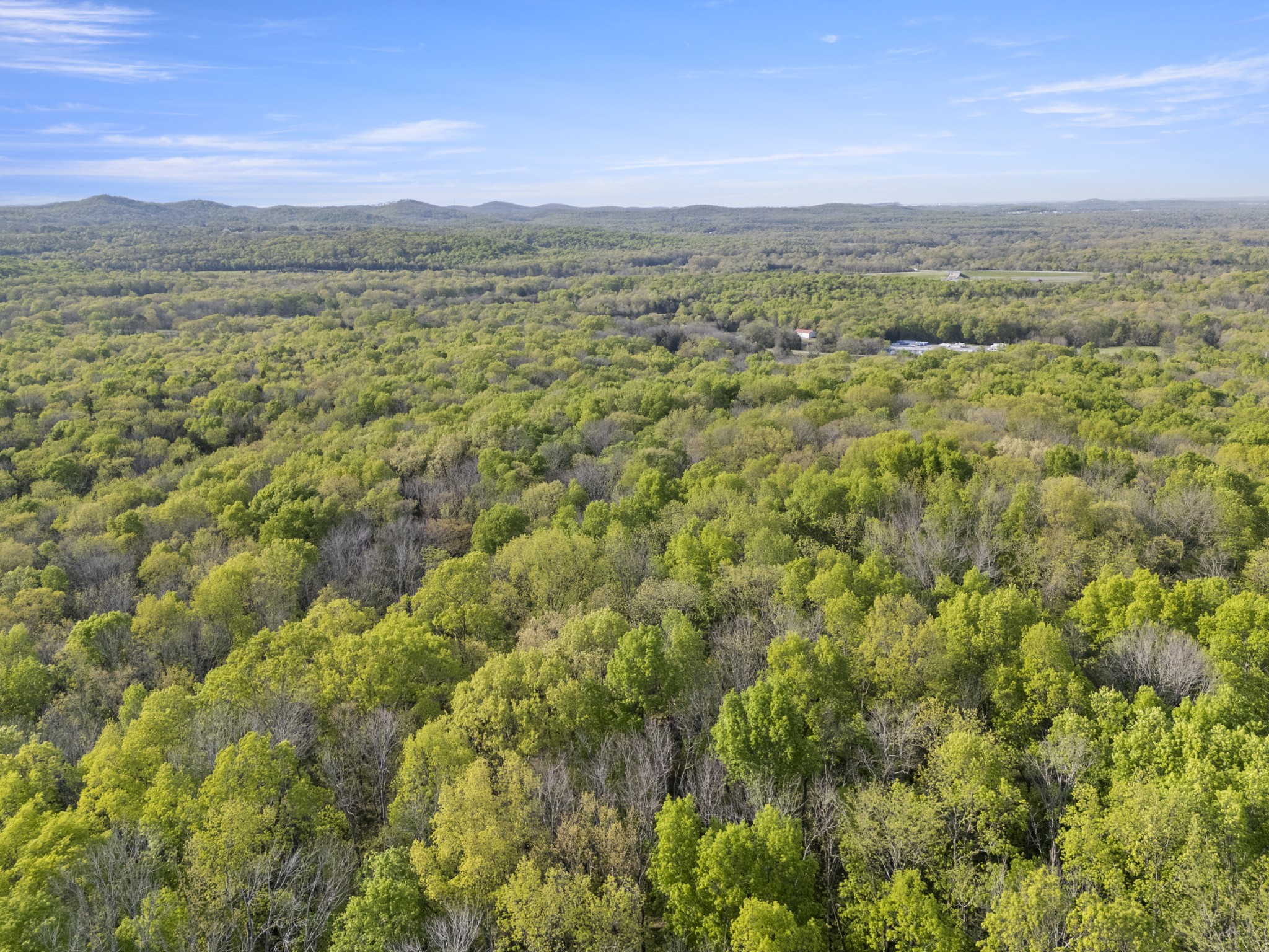 11065 Franklin Road Murfreesboro, TN 37128 - Photo 11 of 32 a view of a city with lush green forest