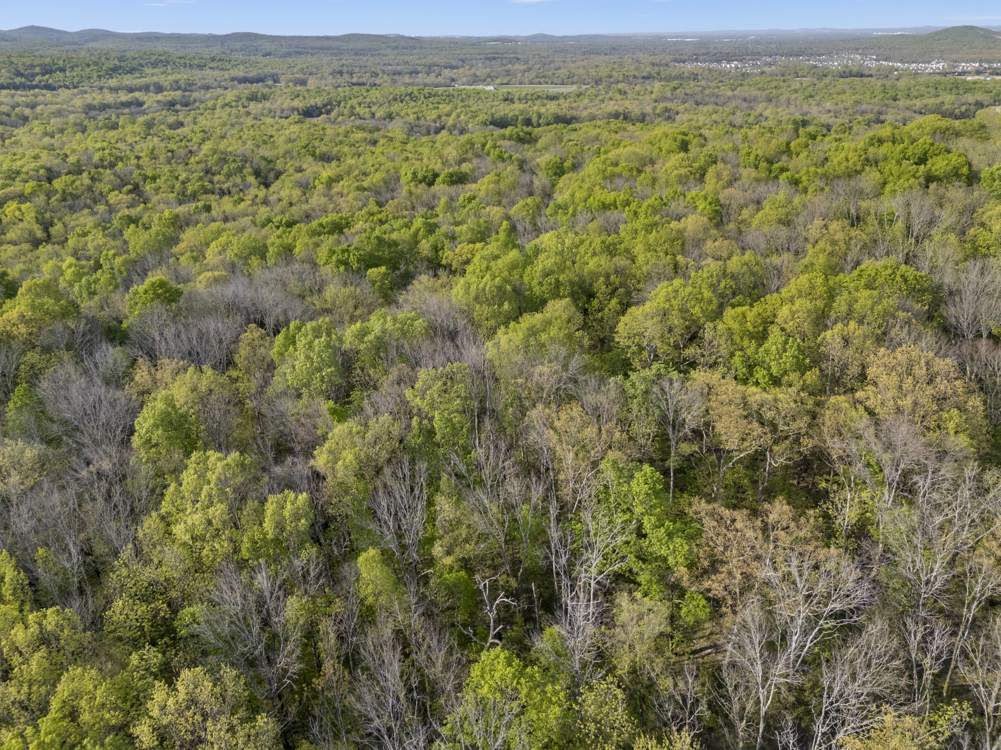 11065 Franklin Road Murfreesboro, TN 37128 - Photo 12 of 32 a view of a field with an outdoor space