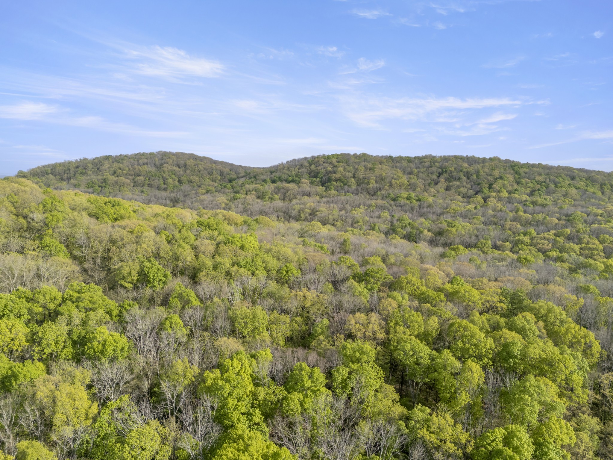 11065 Franklin Road Murfreesboro, TN 37128 - Photo 13 of 32 a view of a mountain