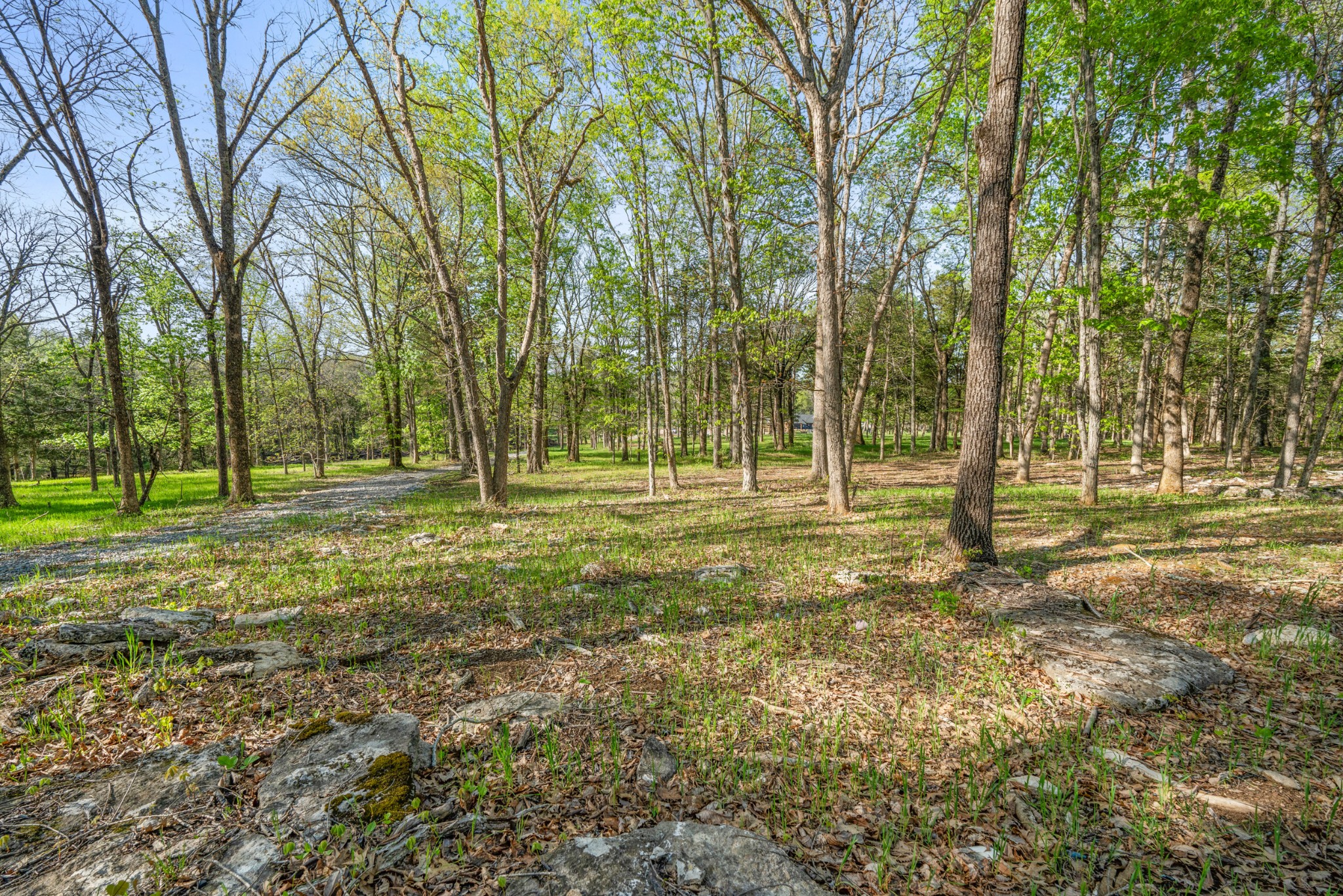 11065 Franklin Road Murfreesboro, TN 37128 - Photo 15 of 32