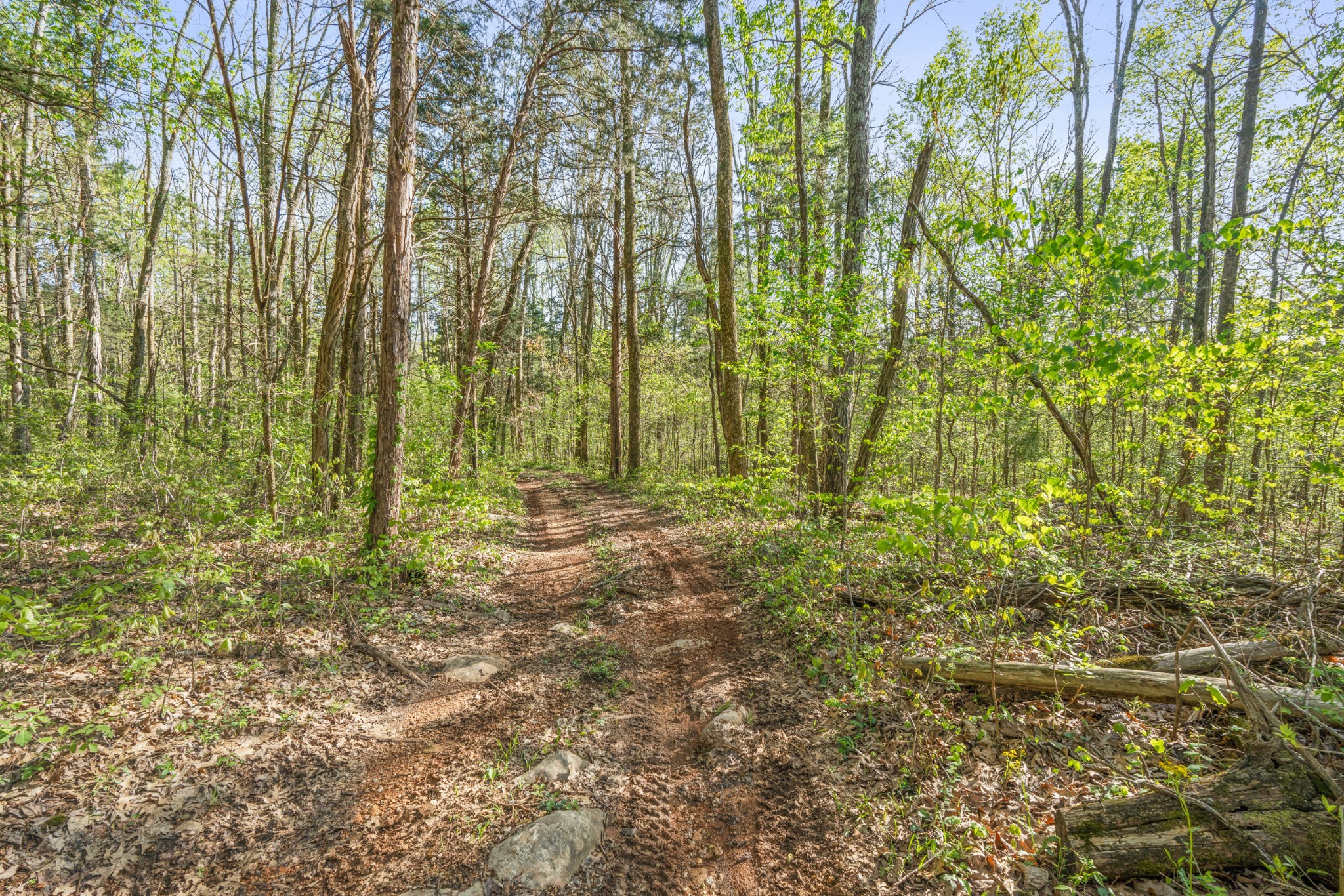 11065 Franklin Road Murfreesboro, TN 37128 - Photo 17 of 32 a view of backyard with green space