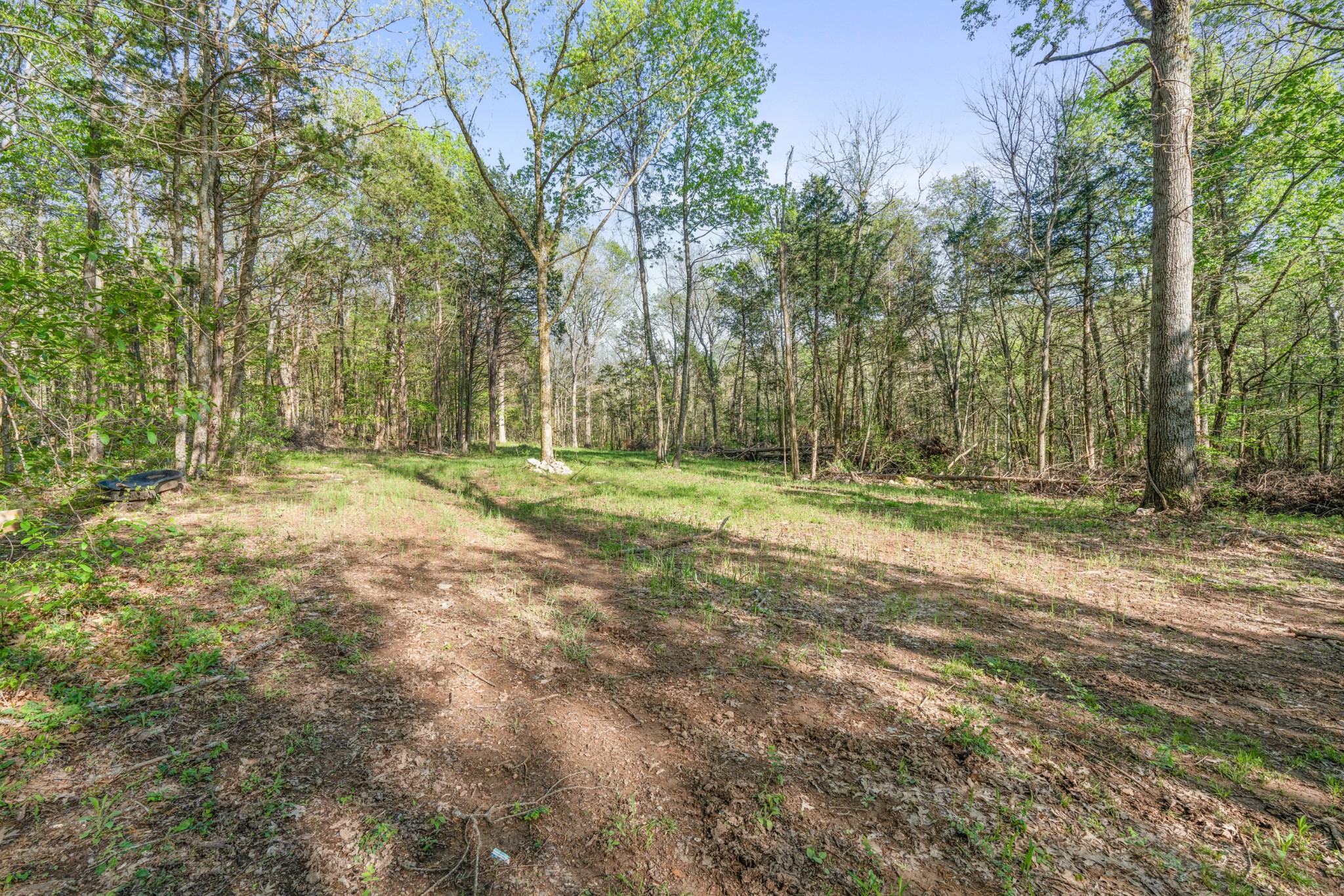 11065 Franklin Road Murfreesboro, TN 37128 - Photo 19 of 32 a view of outdoor space with trees