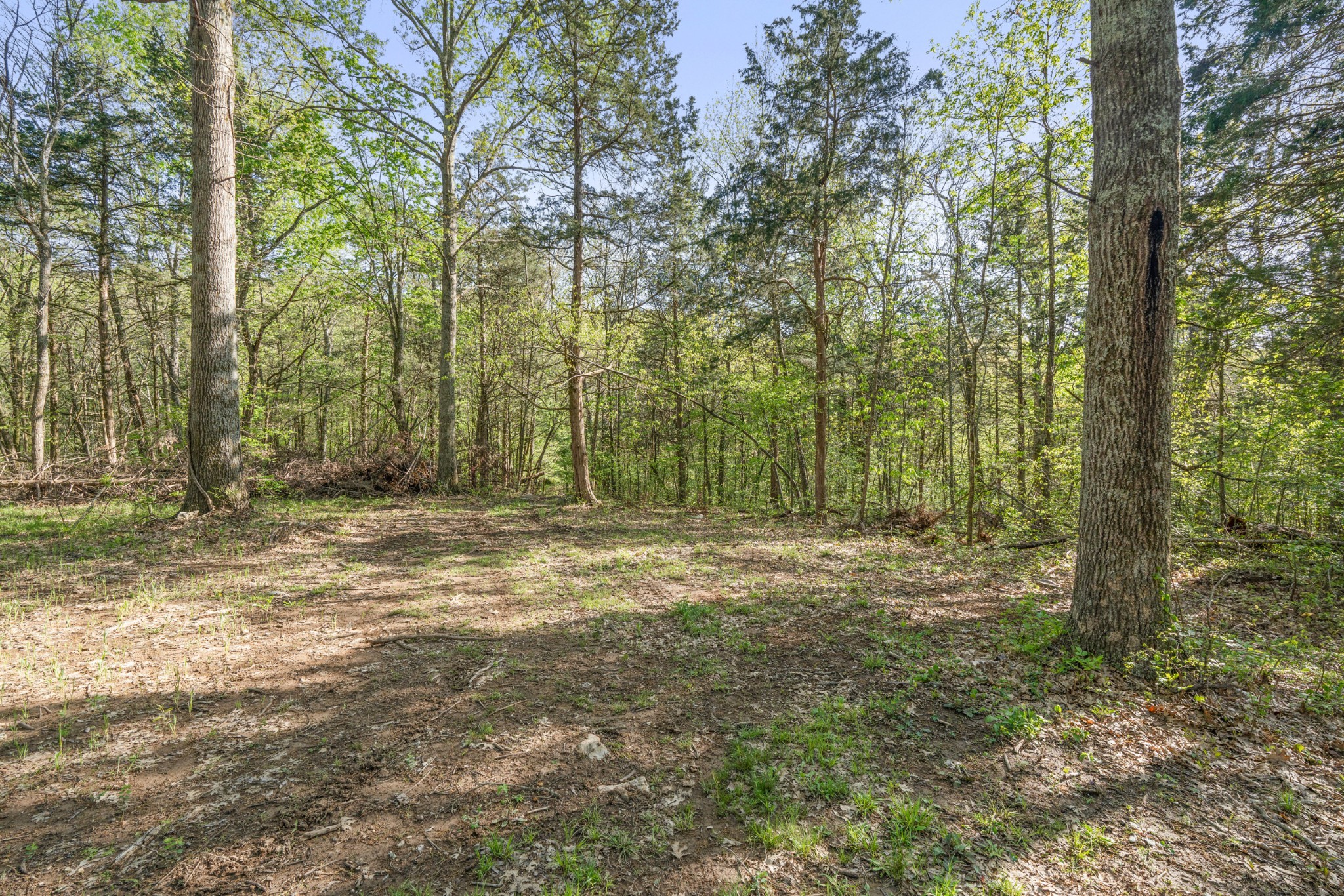 11065 Franklin Road Murfreesboro, TN 37128 - Photo 20 of 32 a view of outdoor space with trees