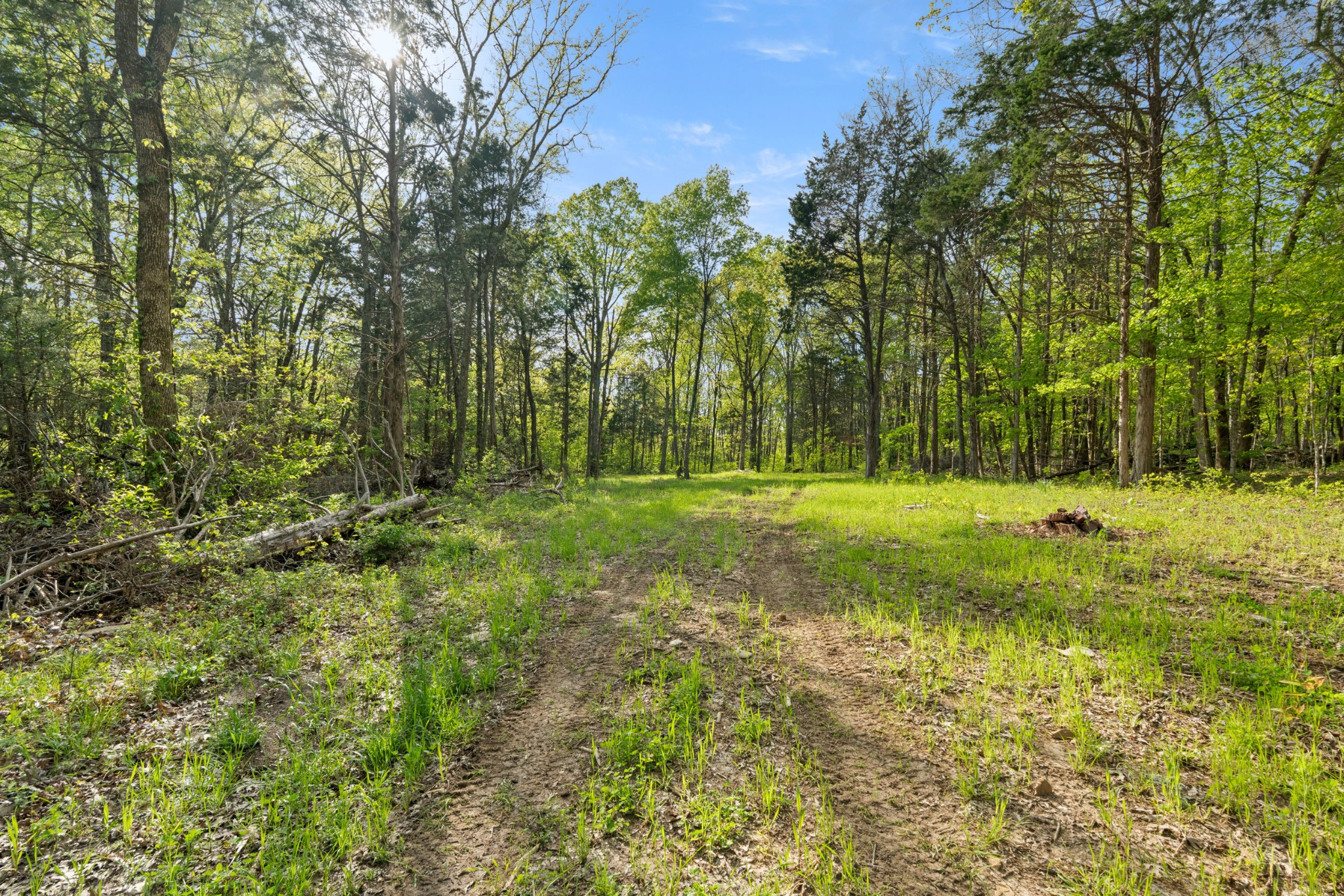 11065 Franklin Road Murfreesboro, TN 37128 - Photo 2 of 32 a view of a field with trees