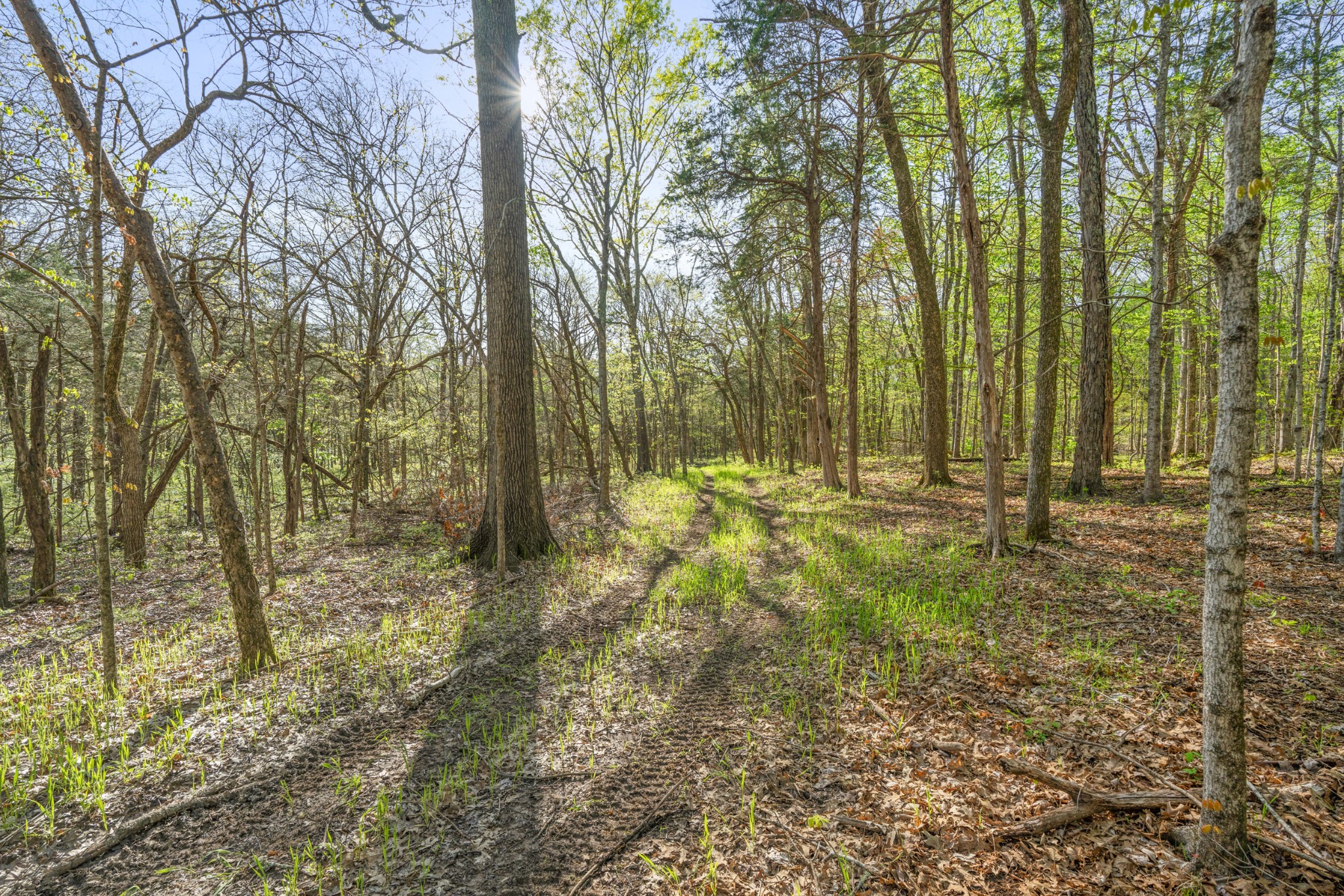 11065 Franklin Road Murfreesboro, TN 37128 - Photo 22 of 32 a view of outdoor space with trees