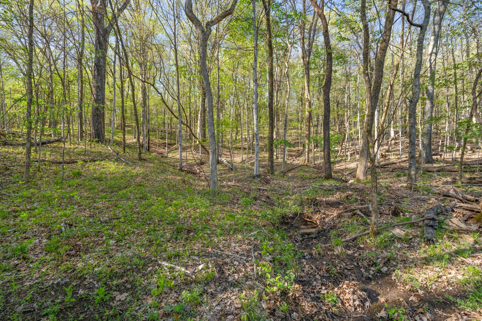 11065 Franklin Road Murfreesboro, TN 37128 - Photo 24 of 32 a view of outdoor space with a lake view