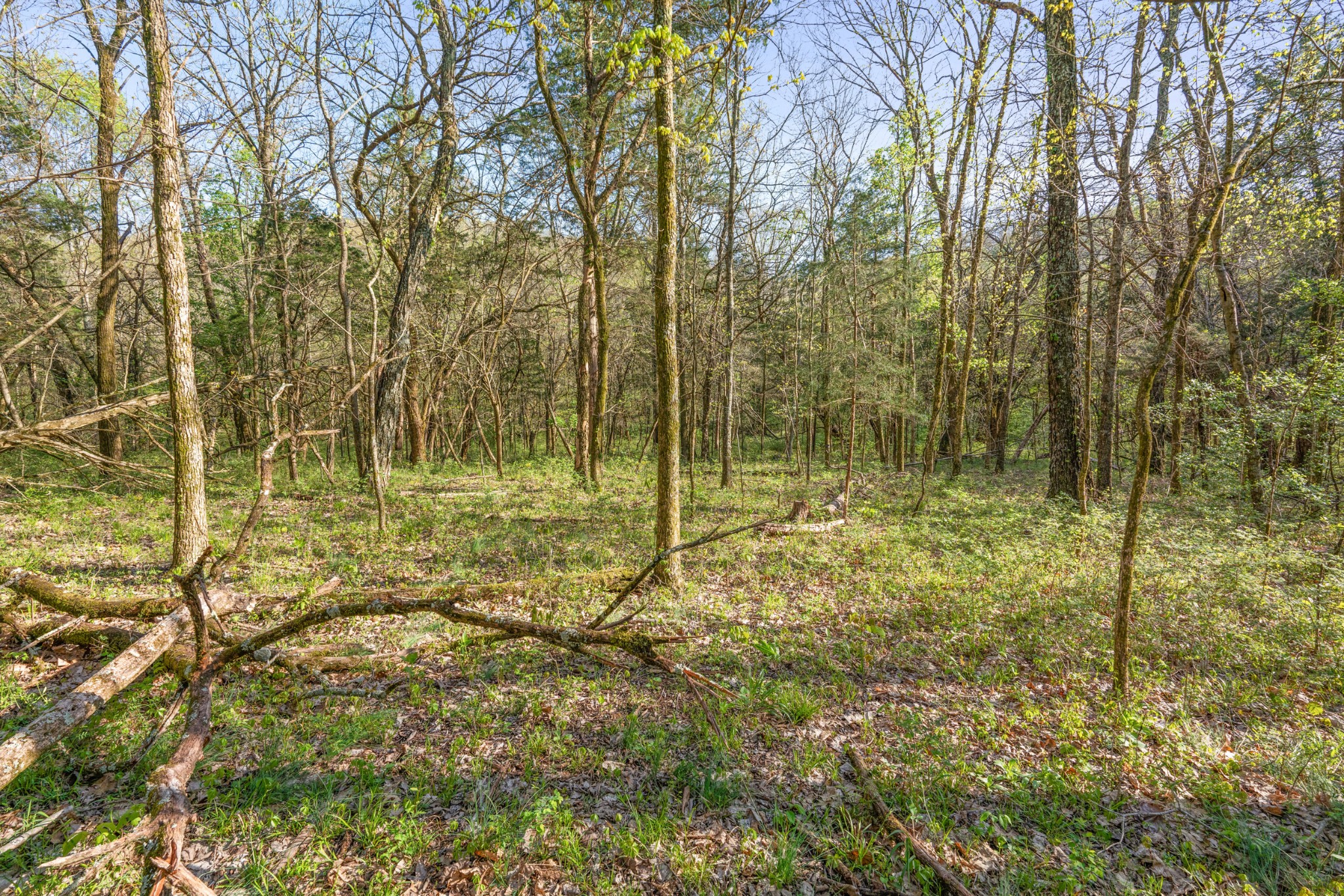 11065 Franklin Road Murfreesboro, TN 37128 - Photo 25 of 32 a view of an outdoor space and yard