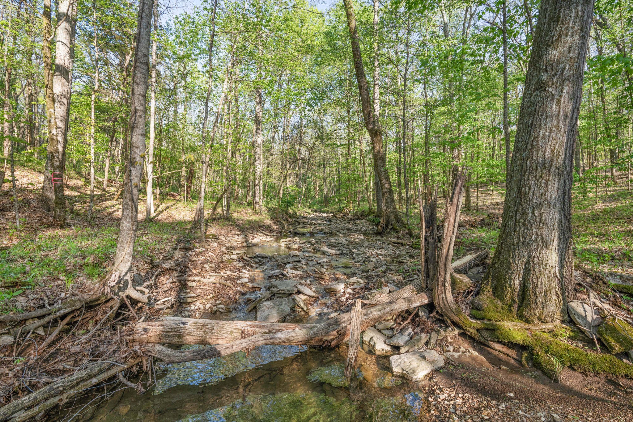 11065 Franklin Road Murfreesboro, TN 37128 - Photo 27 of 32 a view of outdoor space and garden