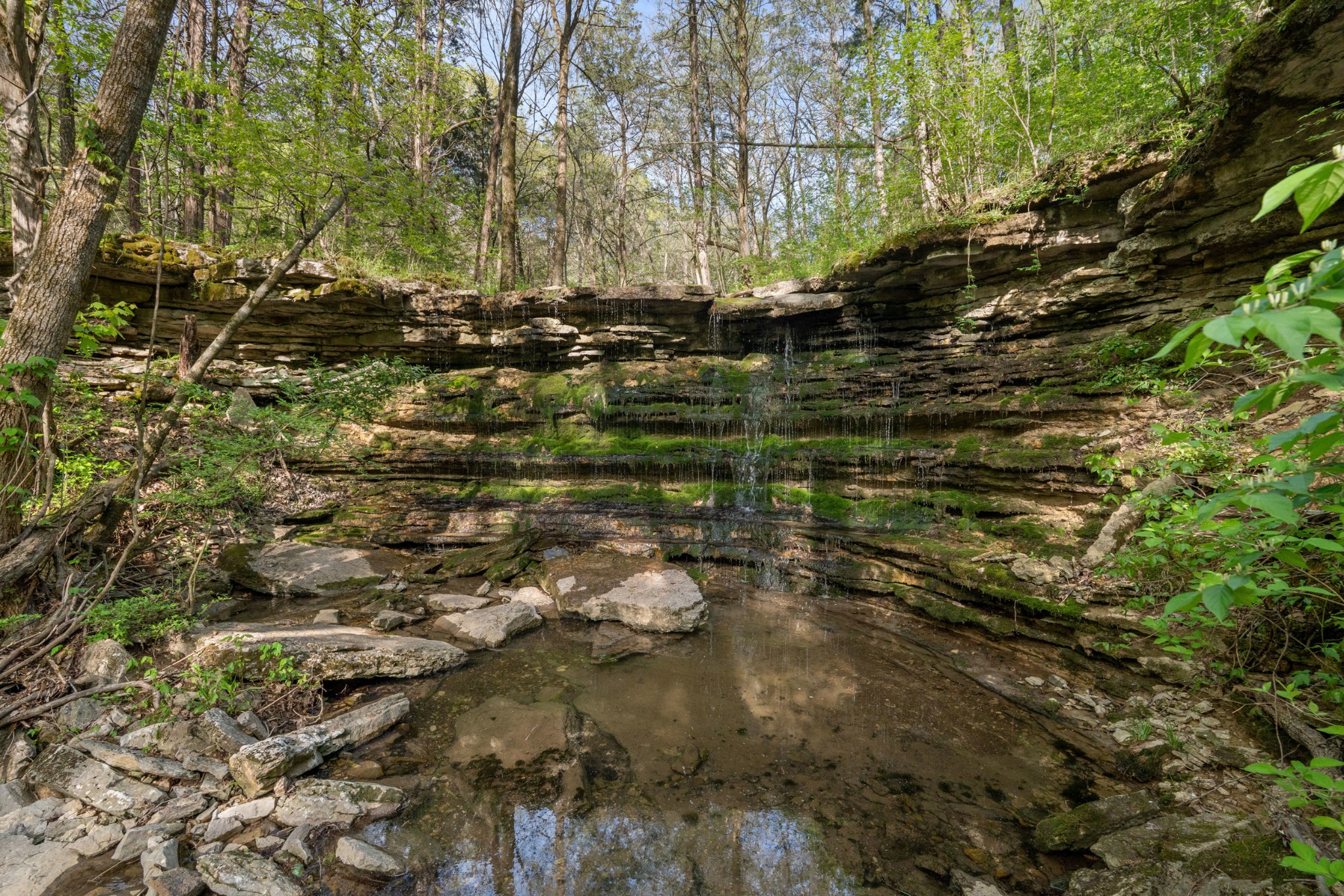 11065 Franklin Road Murfreesboro, TN 37128 - Photo 28 of 32 a view of outdoor space and a yard