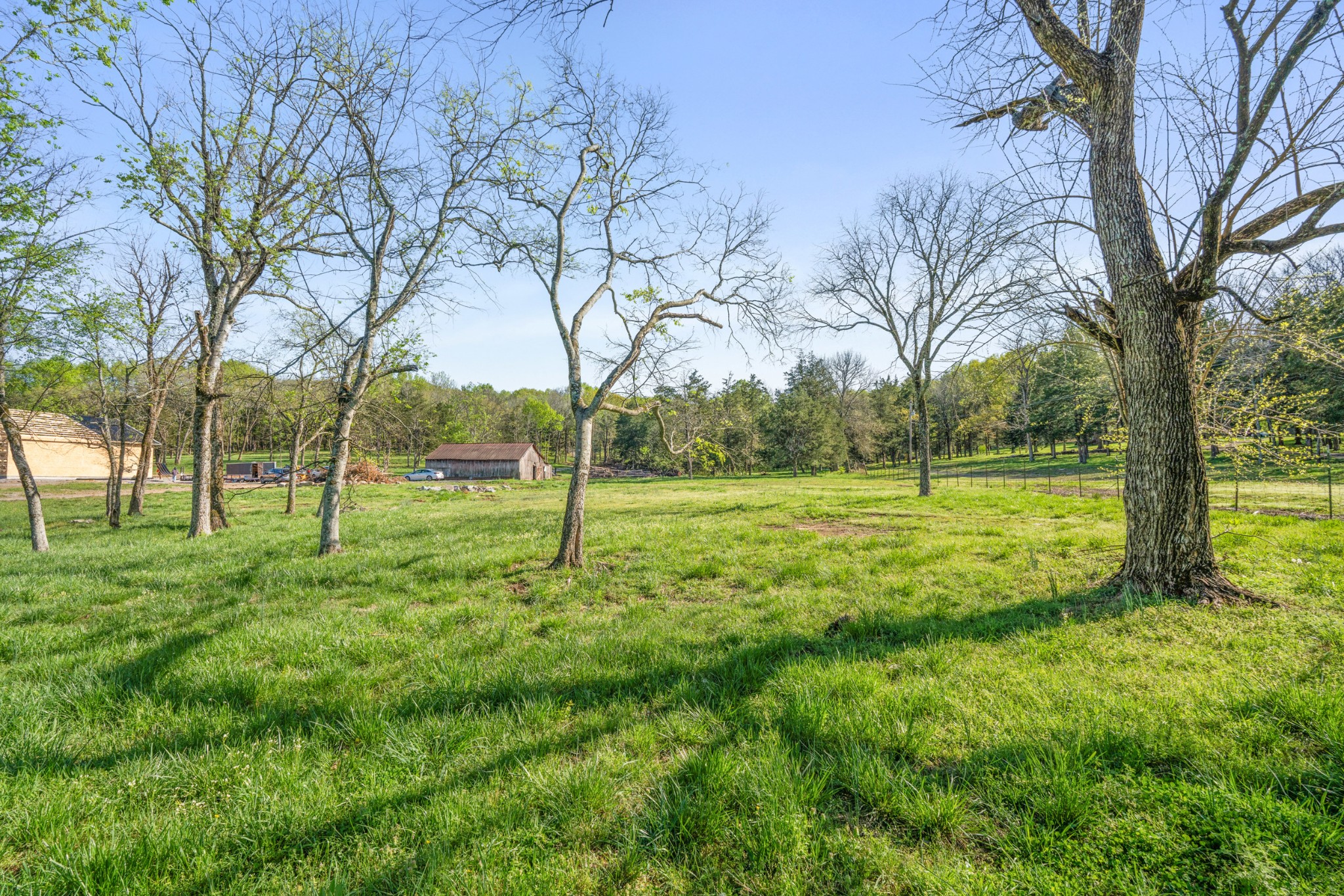 11065 Franklin Road Murfreesboro, TN 37128 - Photo 3 of 32 a view of a yard with a tree