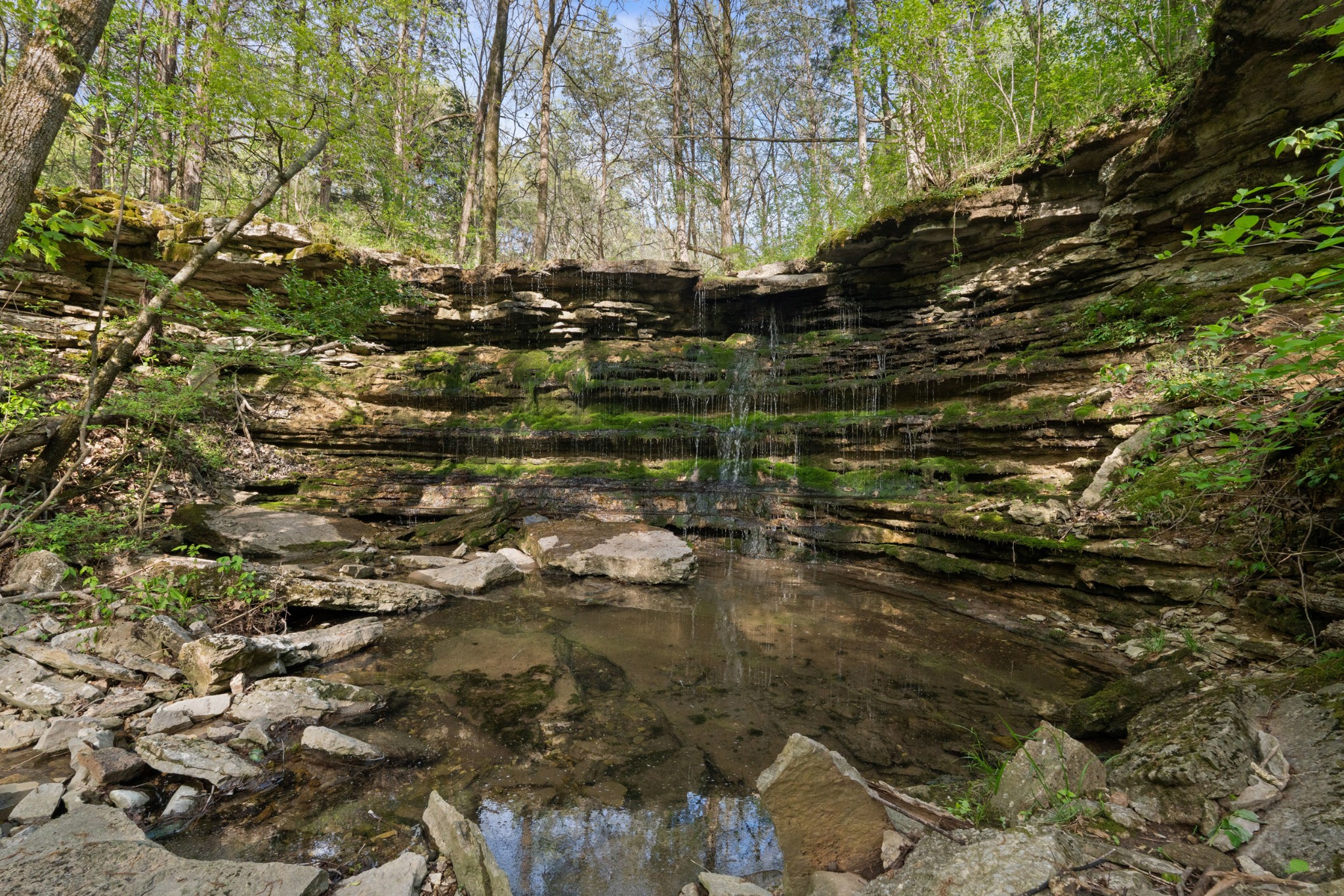 11065 Franklin Road Murfreesboro, TN 37128 - Photo 32 of 32 a backyard of a house with lots of green space