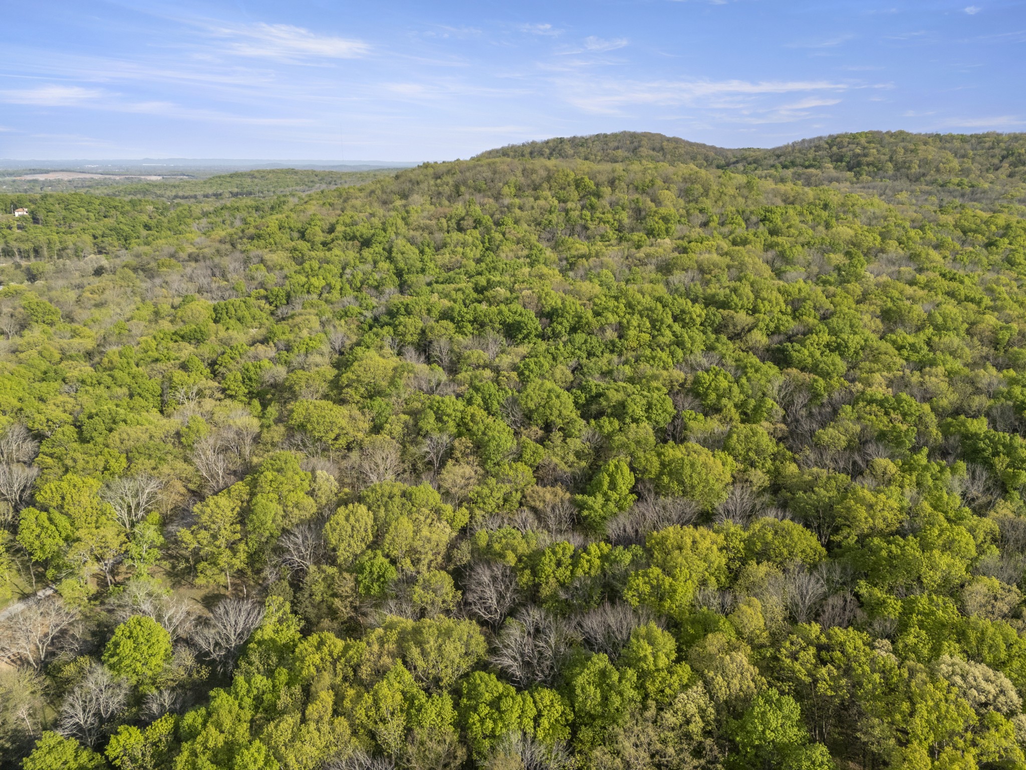 11065 Franklin Road Murfreesboro, TN 37128 - Photo 5 of 32 a view of a field with an ocean