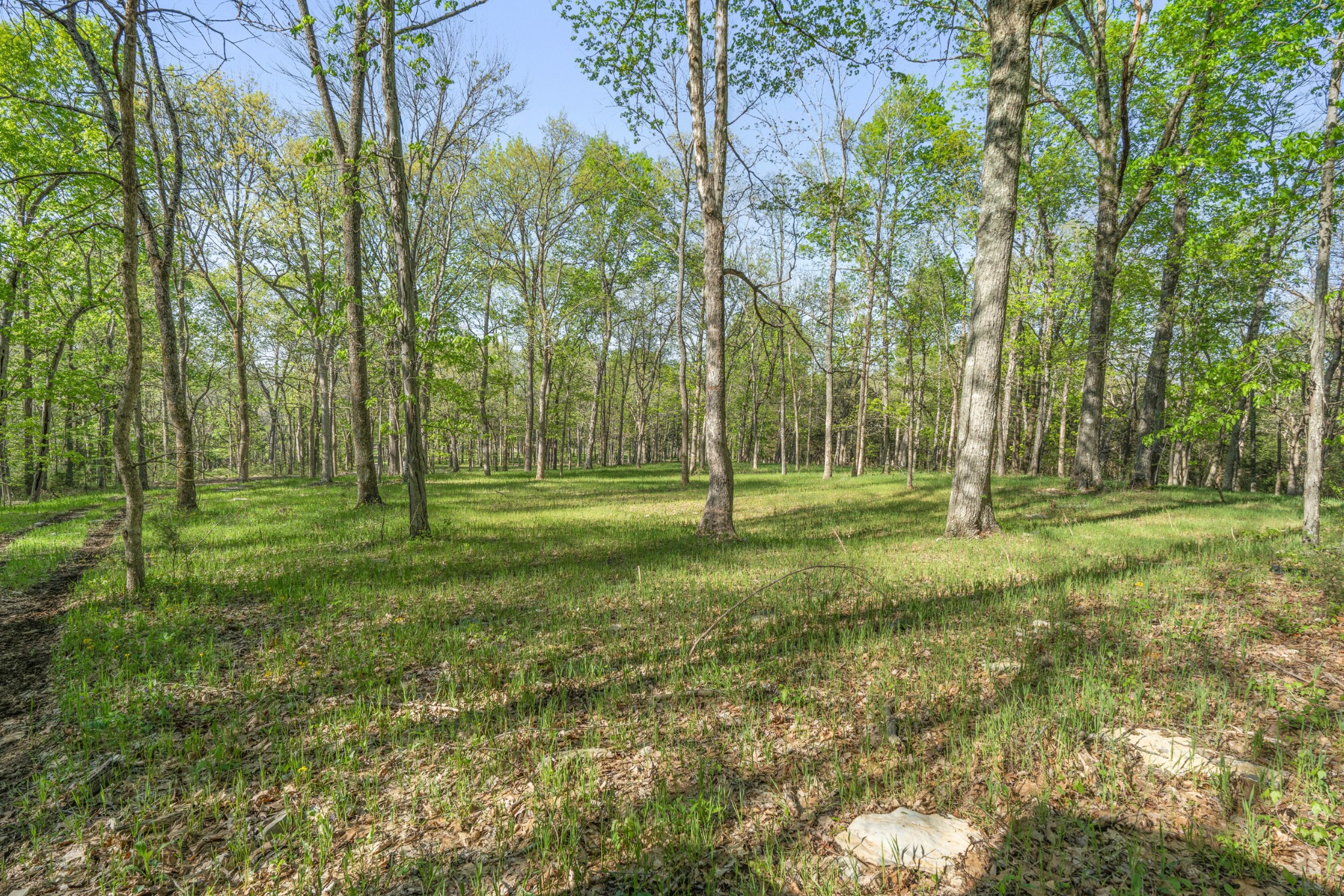 11065 Franklin Road Murfreesboro, TN 37128 - Photo 7 of 32 a view of a park with lots of trees