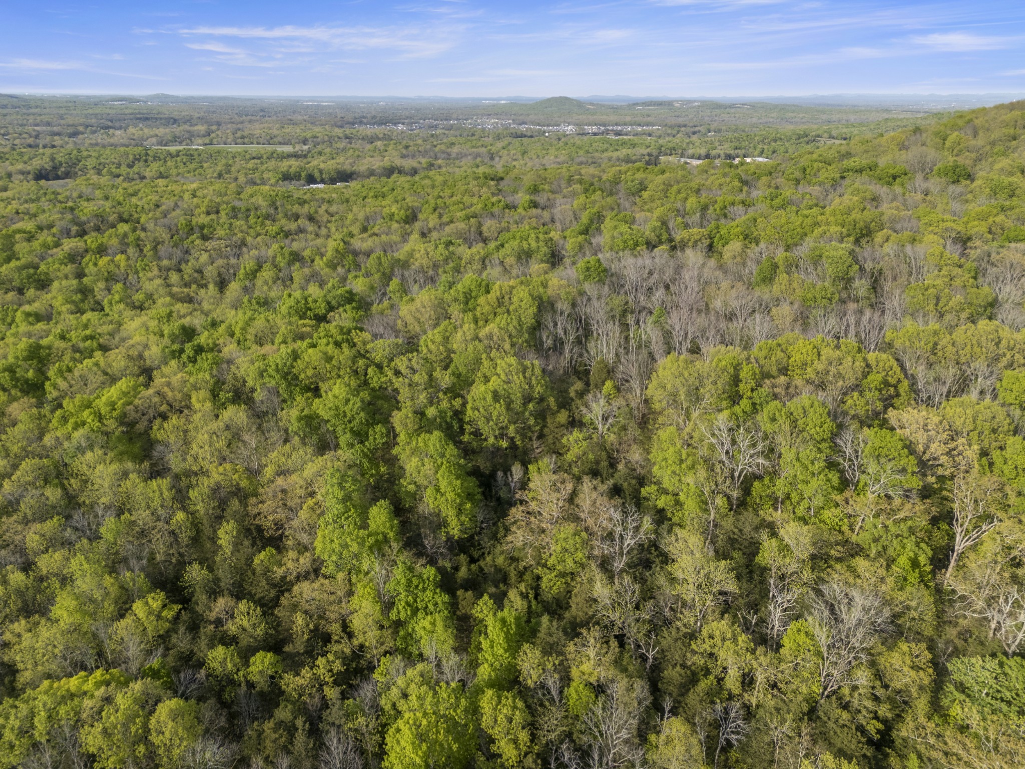 11065 Franklin Road Murfreesboro, TN 37128 - Photo 8 of 32 a view of a city with lush green forest