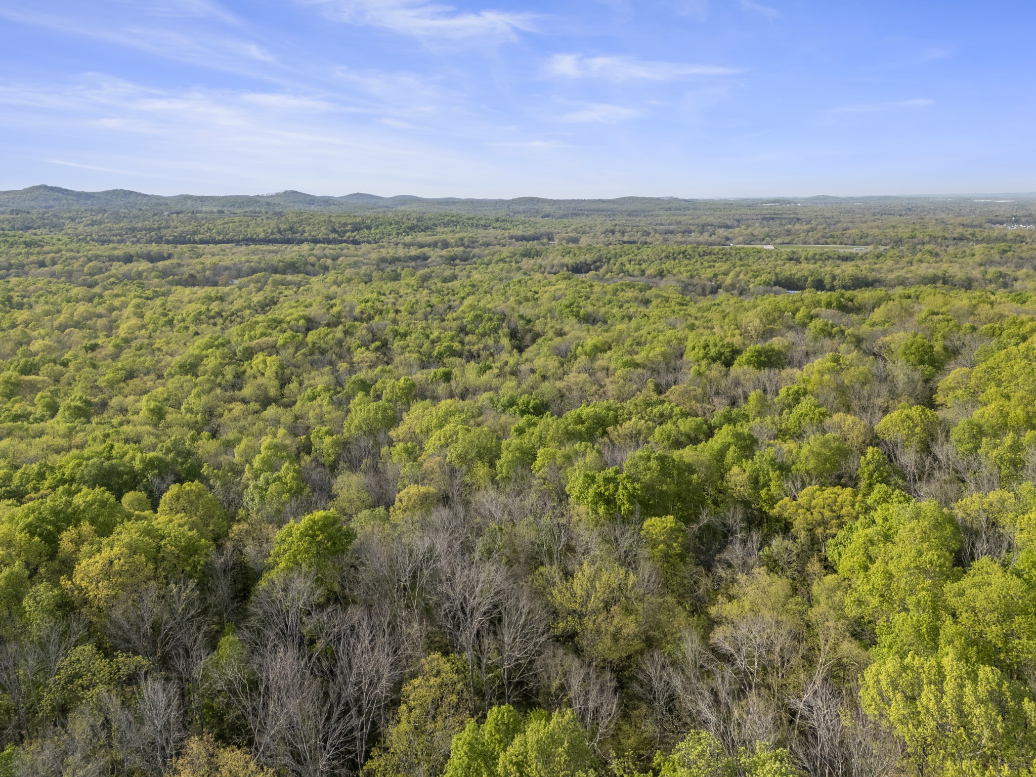 11065 Franklin Road Murfreesboro, TN 37128 - Photo 9 of 32