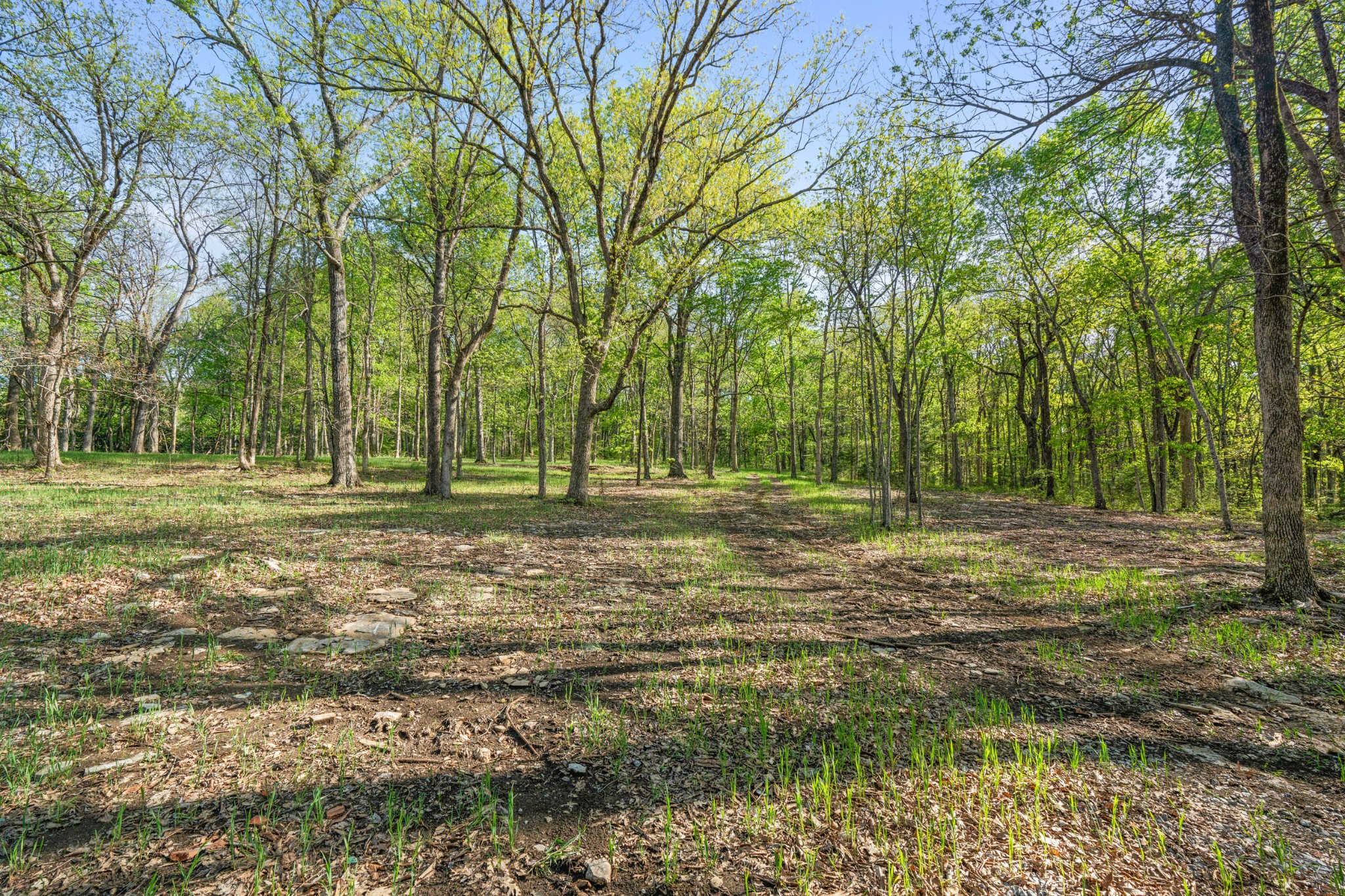 11065 Franklin Road Murfreesboro, TN 37128 - Photo 10 of 32 a view of a field with trees