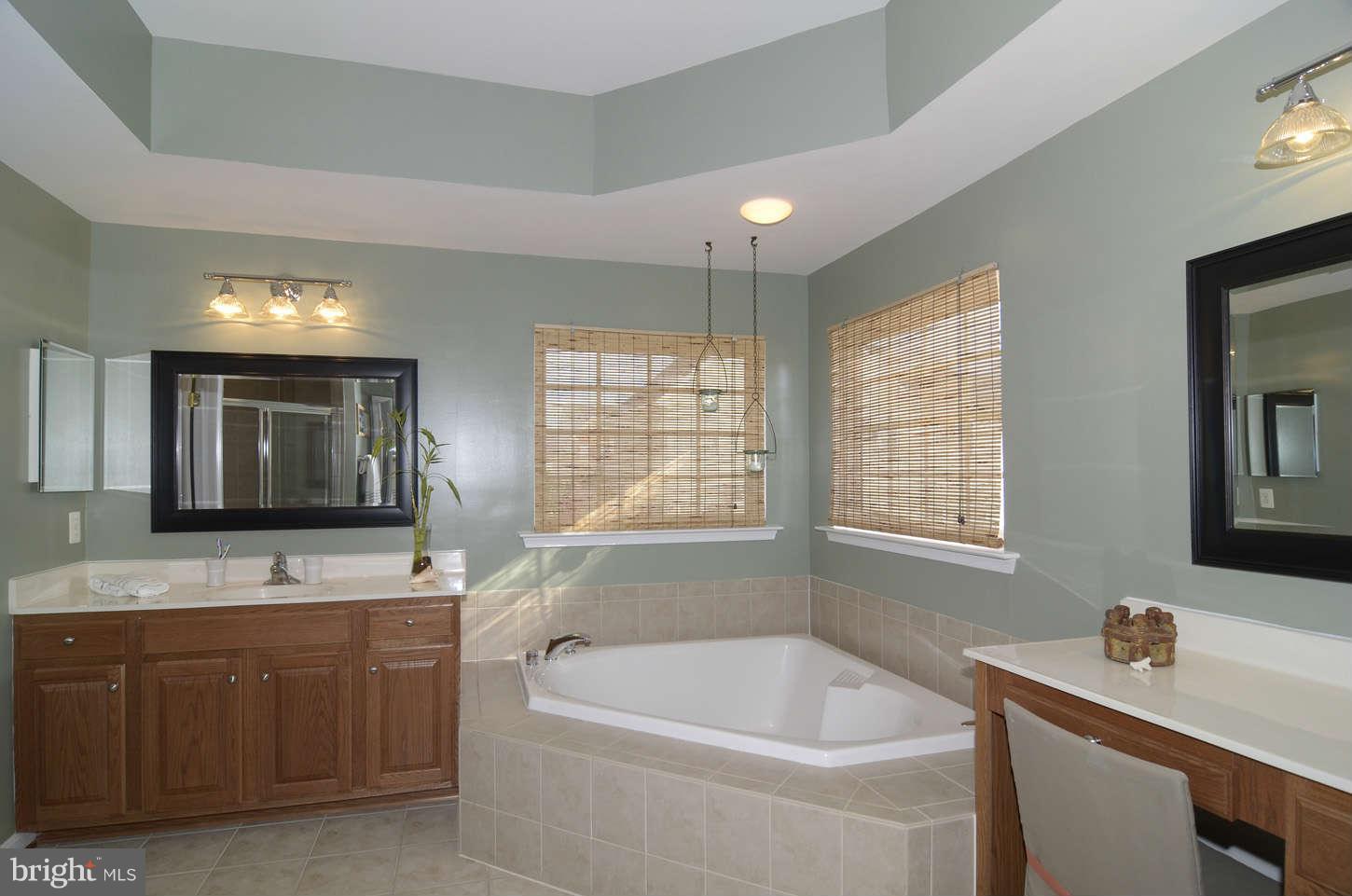 24766 Prairie Grass Drive Stone Ridge, VA 20105 - Photo 18 of 28 Bath (Master)