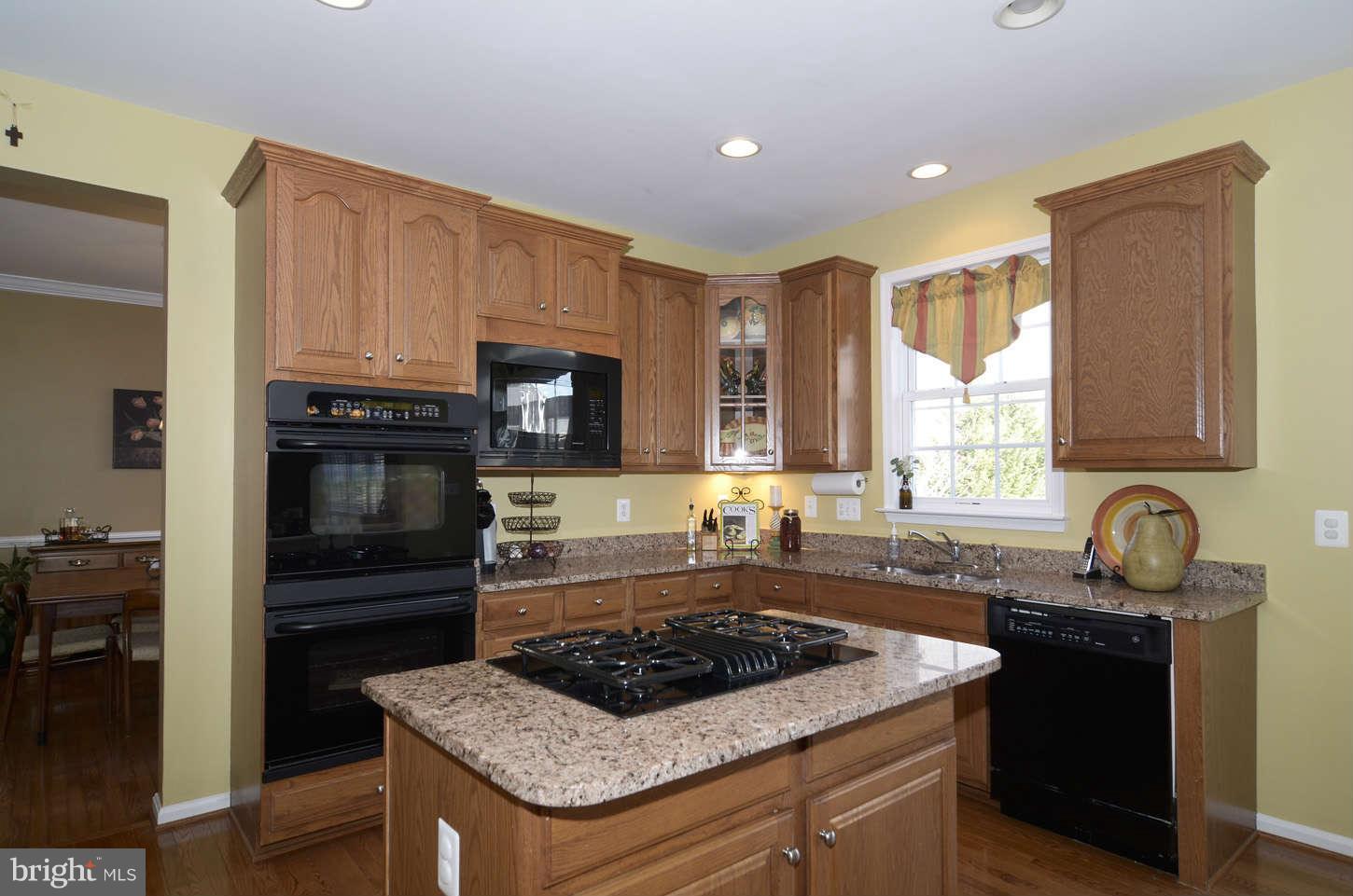 24766 Prairie Grass Drive Stone Ridge, VA 20105 - Photo 6 of 28 Kitchen