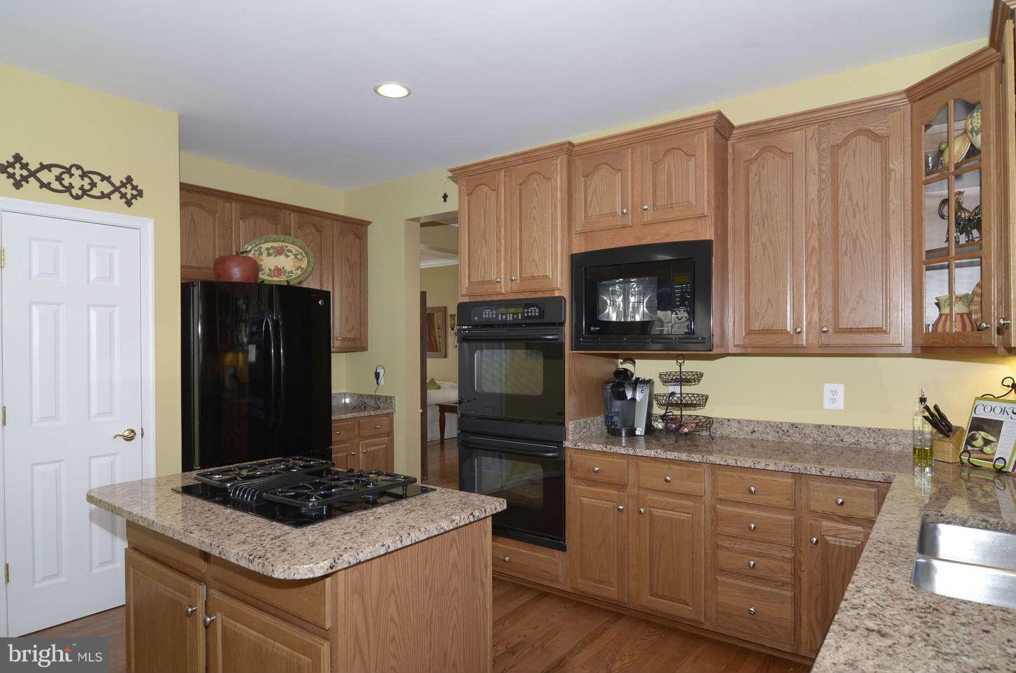 24766 Prairie Grass Drive Stone Ridge, VA 20105 - Photo 8 of 28 Kitchen
