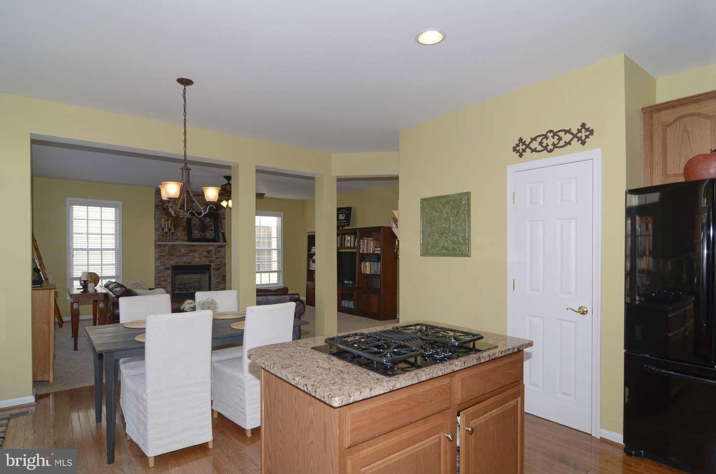 24766 Prairie Grass Drive Stone Ridge, VA 20105 - Photo 9 of 28 Kitchen