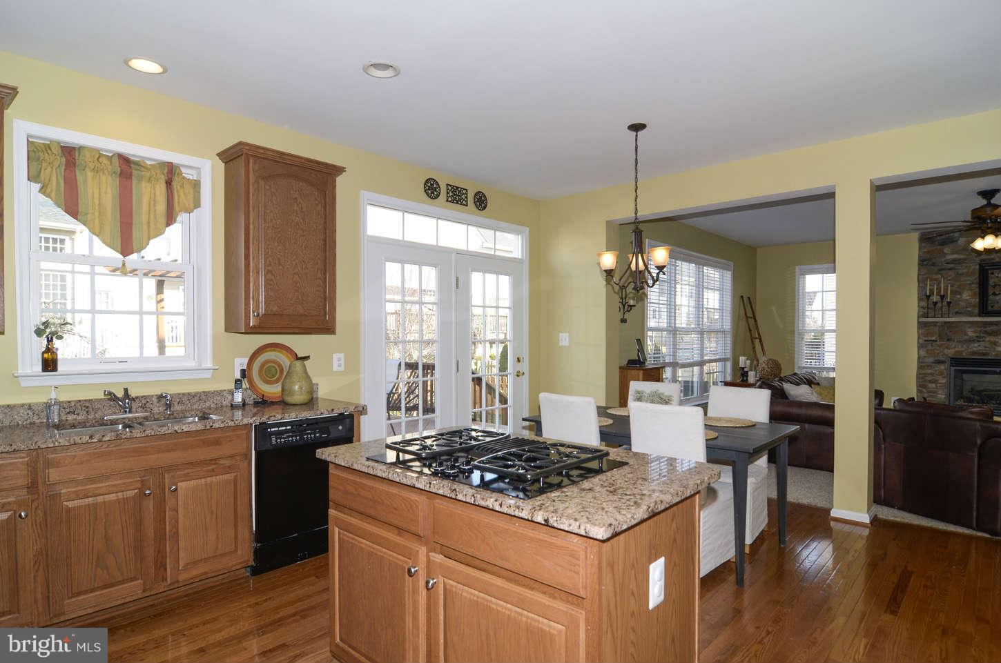24766 Prairie Grass Drive Stone Ridge, VA 20105 - Photo 10 of 28 Kitchen