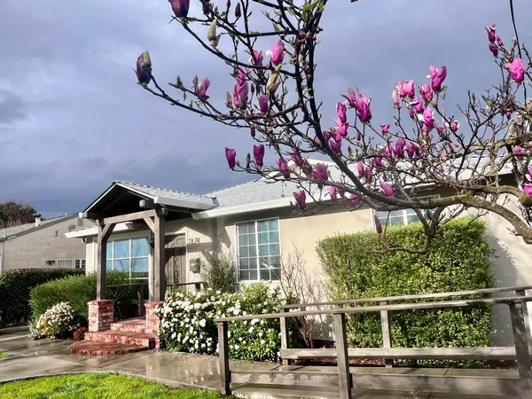 a front view of a house with a tree