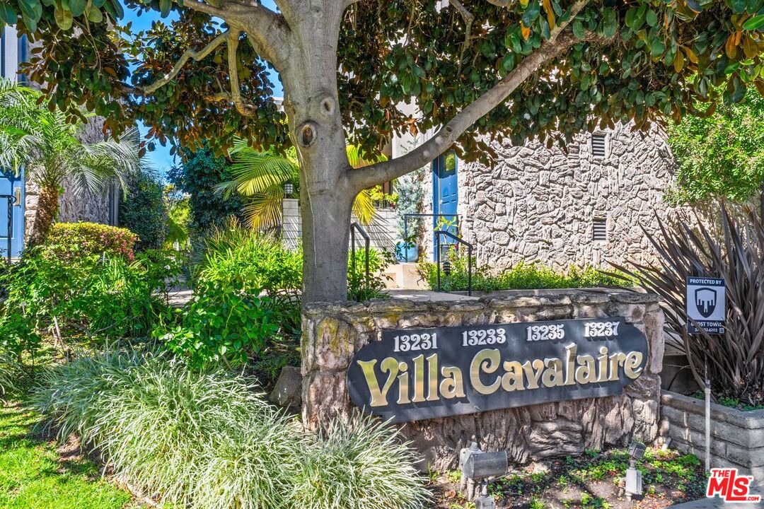 a street sign on a tree