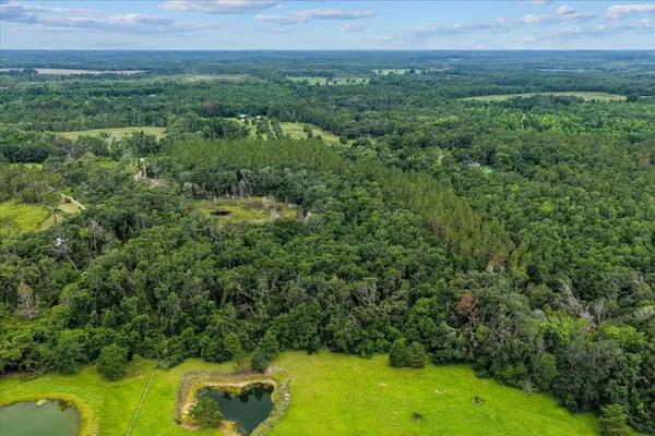 $170,000 | Vacant Northwest Coachwhip Avenue, Madison, FL 32340