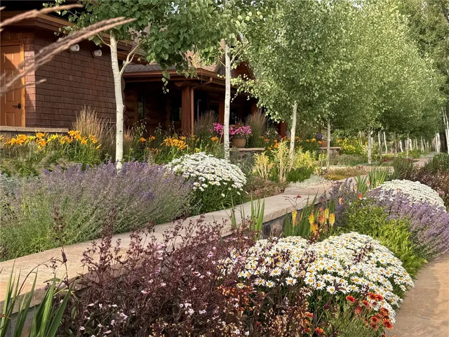 a view of a backyard with pathway