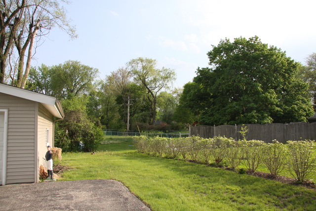 605 East Baldwin Road Palatine, IL 60074 - Photo 16 of 18 a view of a park with large trees