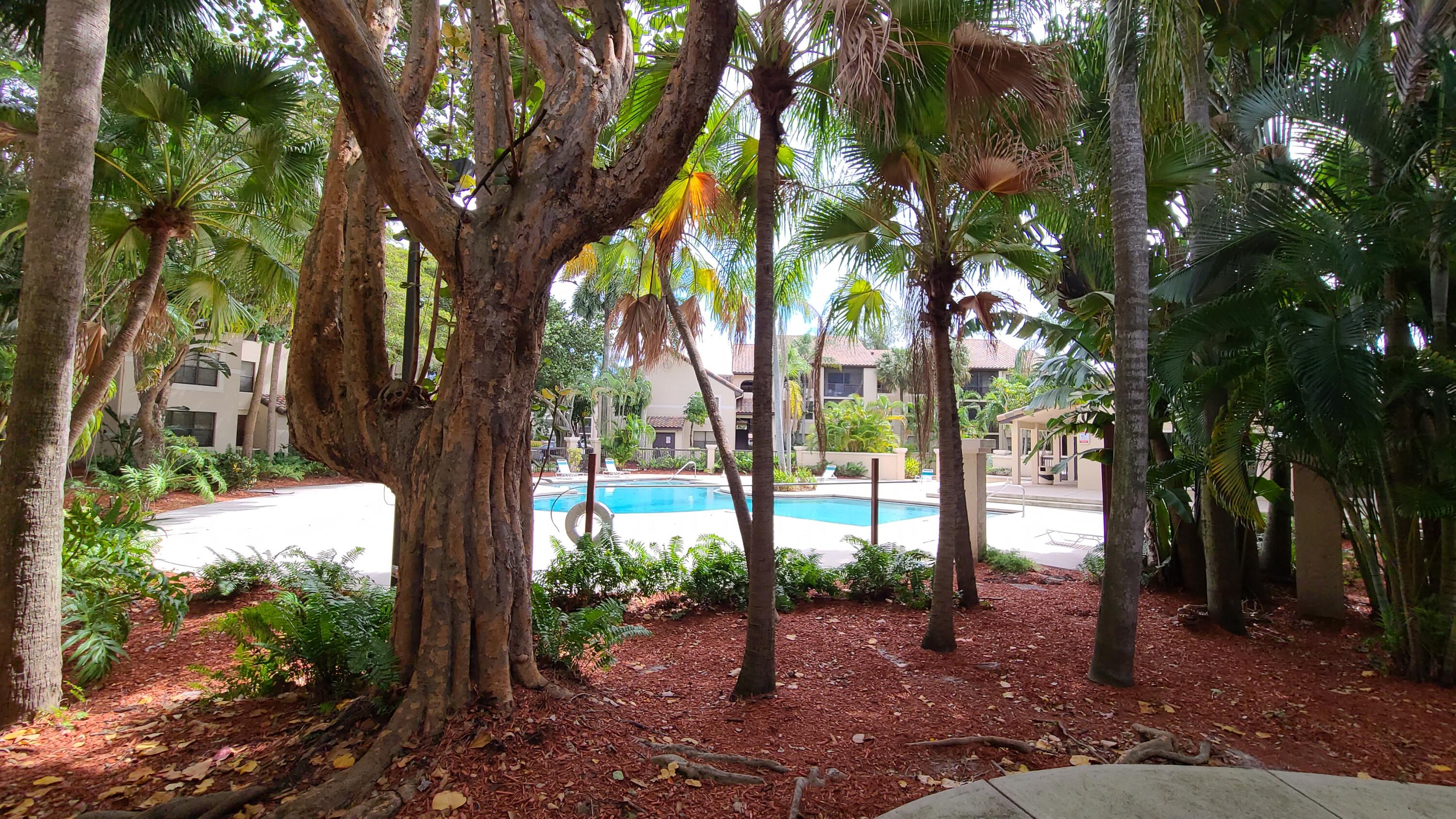 4501 West McNab Road, Unit 11 Pompano Beach, FL 33069 - Photo 12 of 32 a view of a yard in front of the house