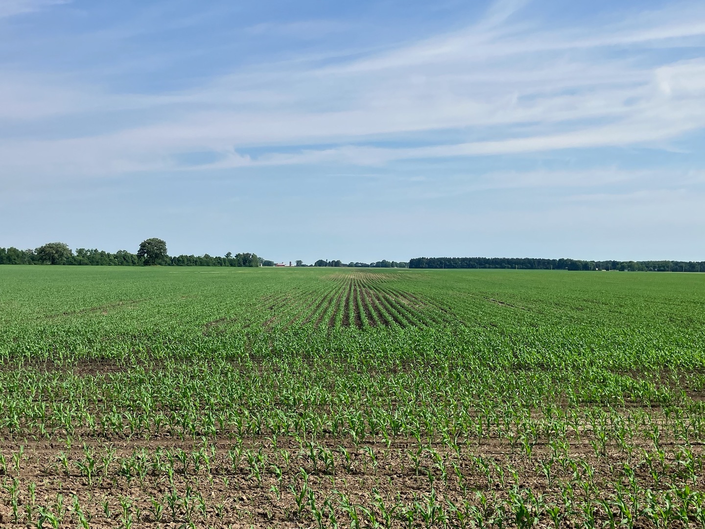0 Rt 38 Rochelle, IL 61068 - Photo 10 of 14