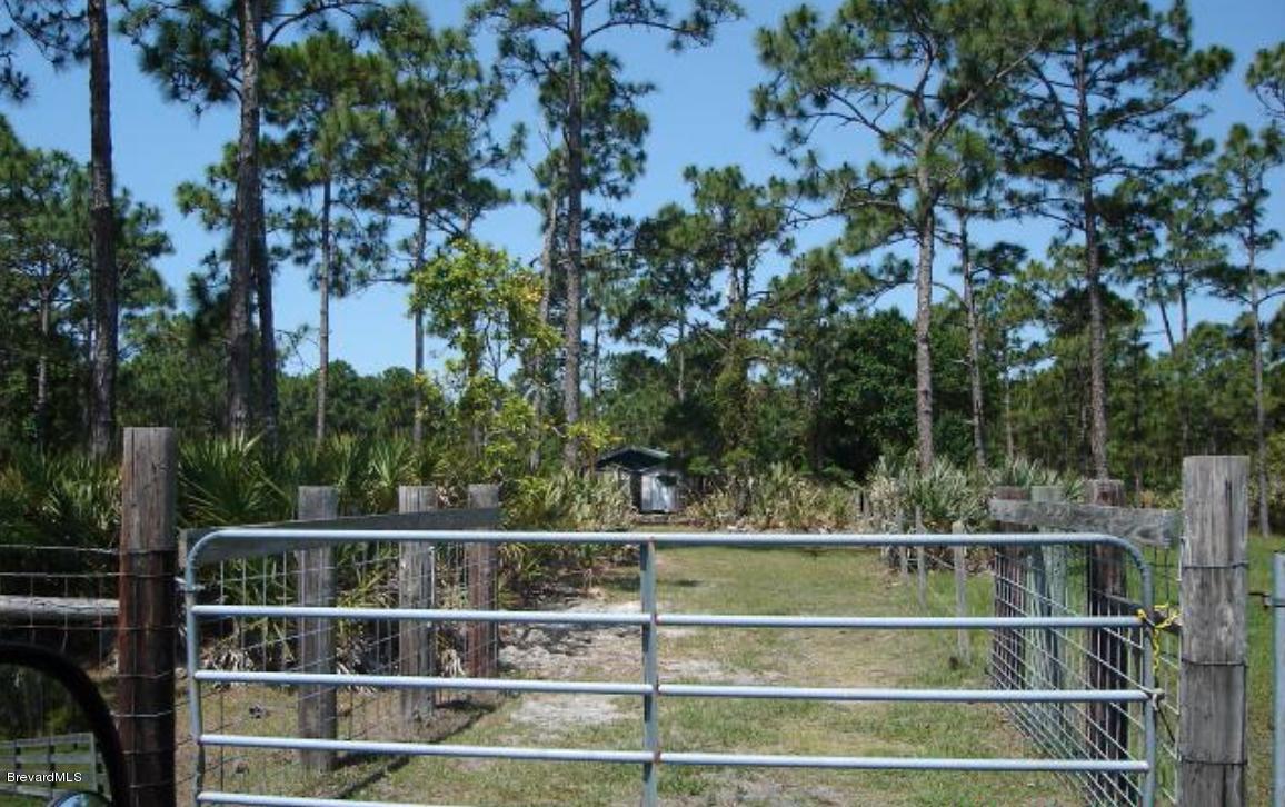0 Vally Road Malabar, FL 32950 - Photo 3 of 11 DSC00984