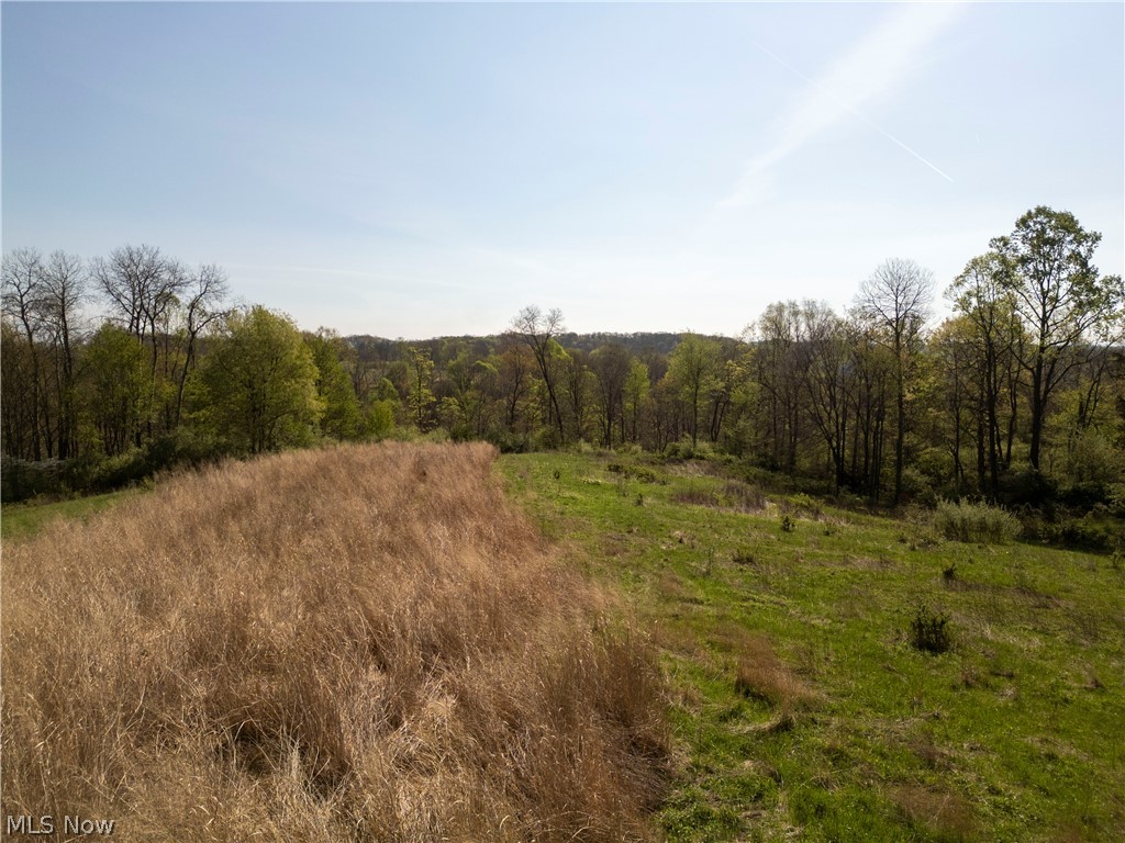 80960 Burkhart Road Tippecanoe, OH 44699 - Photo 17 of 50