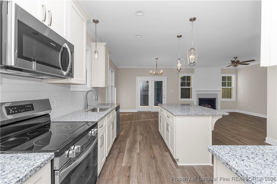 162 Surles Landing Way Benson, NC 27504 - Photo 9 of 28 a kitchen with stainless steel appliances granite countertop a sink stove and refrigerator