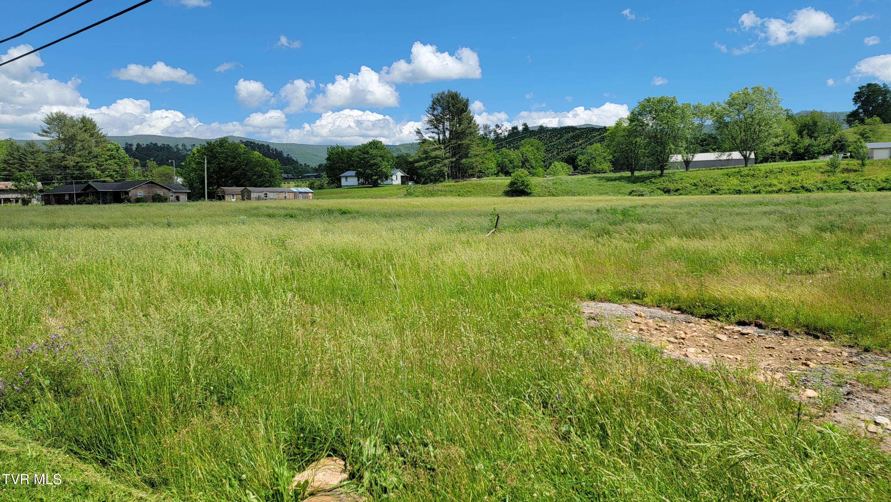 262 Stout Branch Road Mountain City, TN 37683 - Photo 3 of 6 20250521_145847