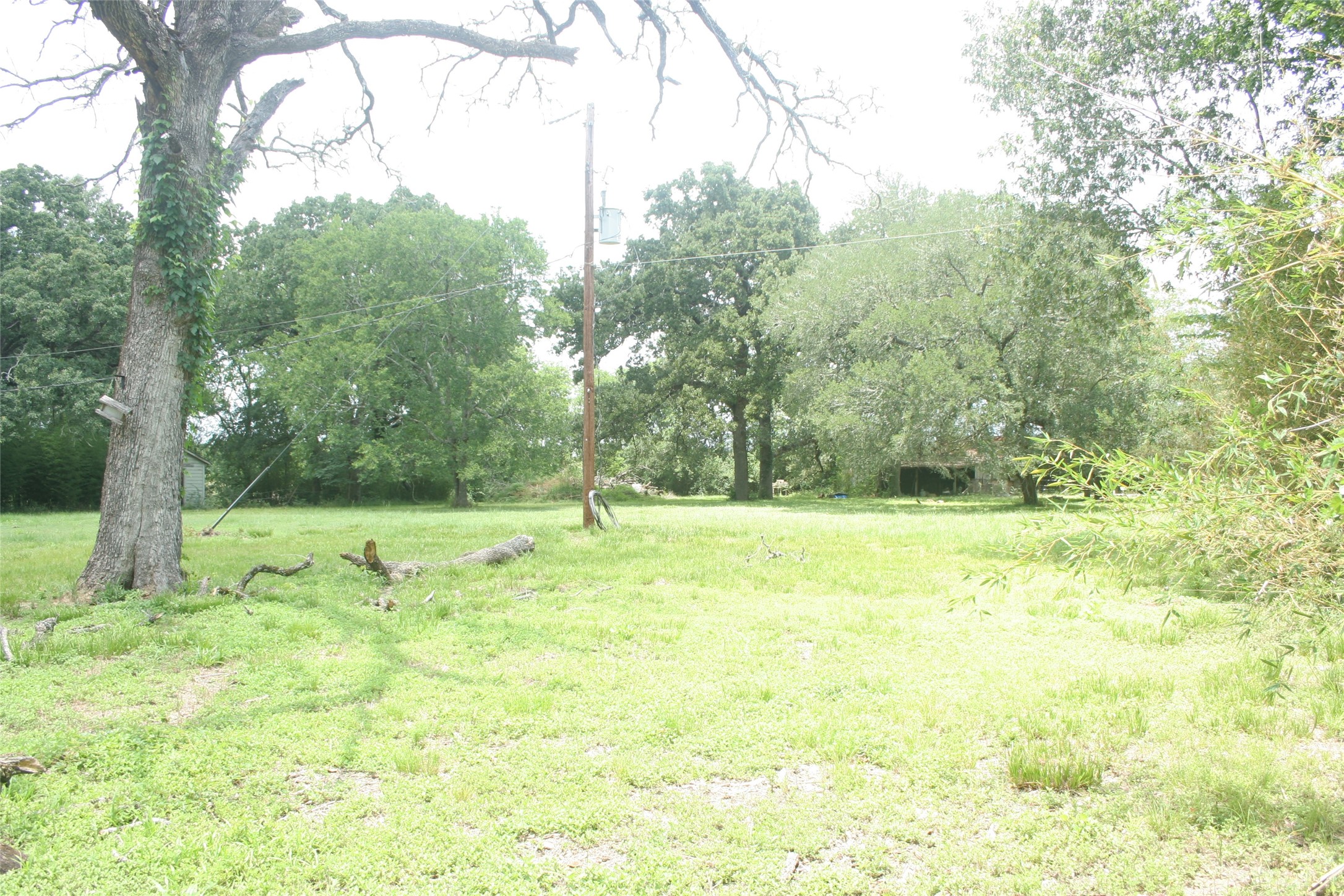 634 South Mt Mariah Road Montgomery, TX 77316 - Photo 10 of 10