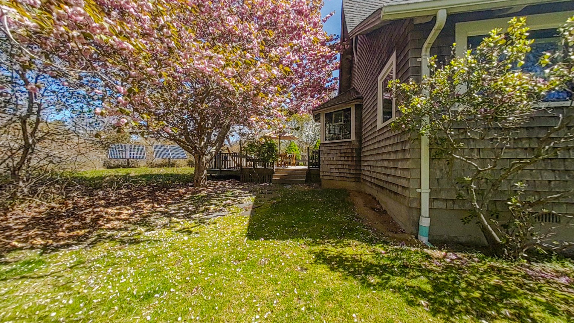 2 Old Pocha Road Edgartown, MA 02539 - Photo 5 of 30