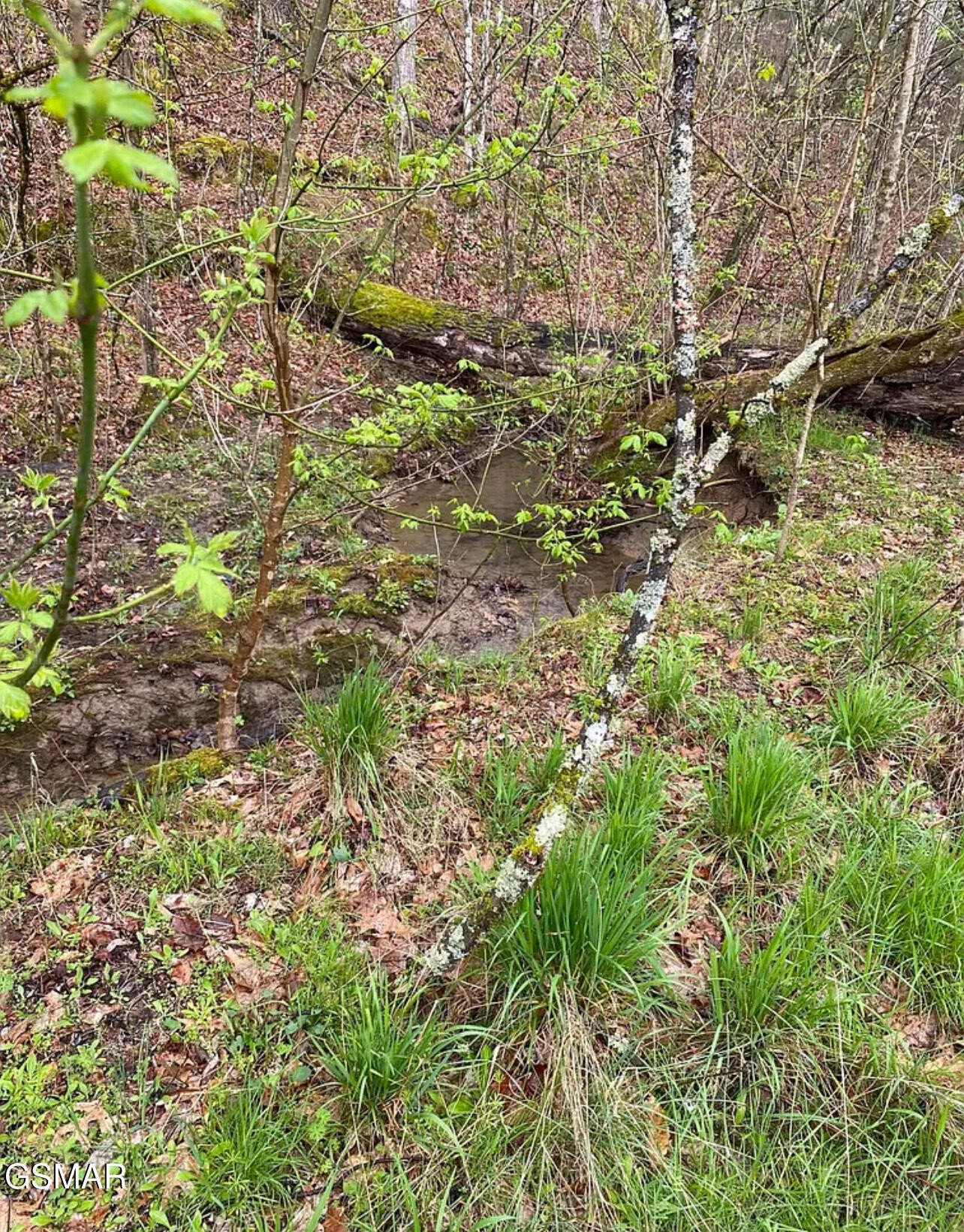 3 Gists Creek Road Sevierville, TN 37876 - Photo 4 of 24 Gallery Image 4