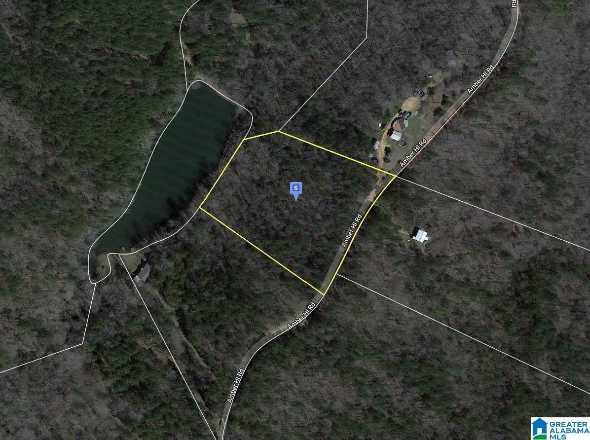0 Amber Hl Road, Unit 1 Alexander City, AL 35010 - Photo 1 of 1