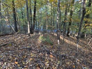 11331 Mingo Drive Hernando, MS 38632 - Photo 2 of 4 IMG_5346