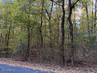 11331 Mingo Drive Hernando, MS 38632 - Photo 3 of 4 IMG_5344