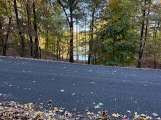 11331 Mingo Drive Hernando, MS 38632 - Photo 4 of 4 IMG_5347