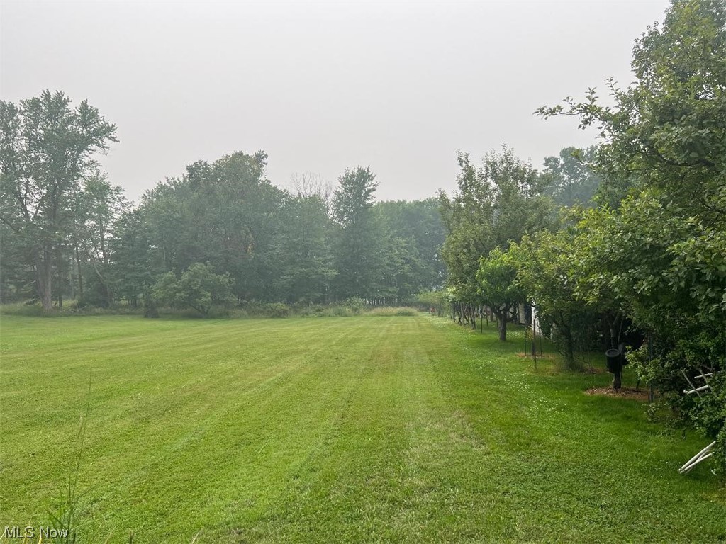 7270 State Road Parma, OH 44134 - Photo 2 of 21