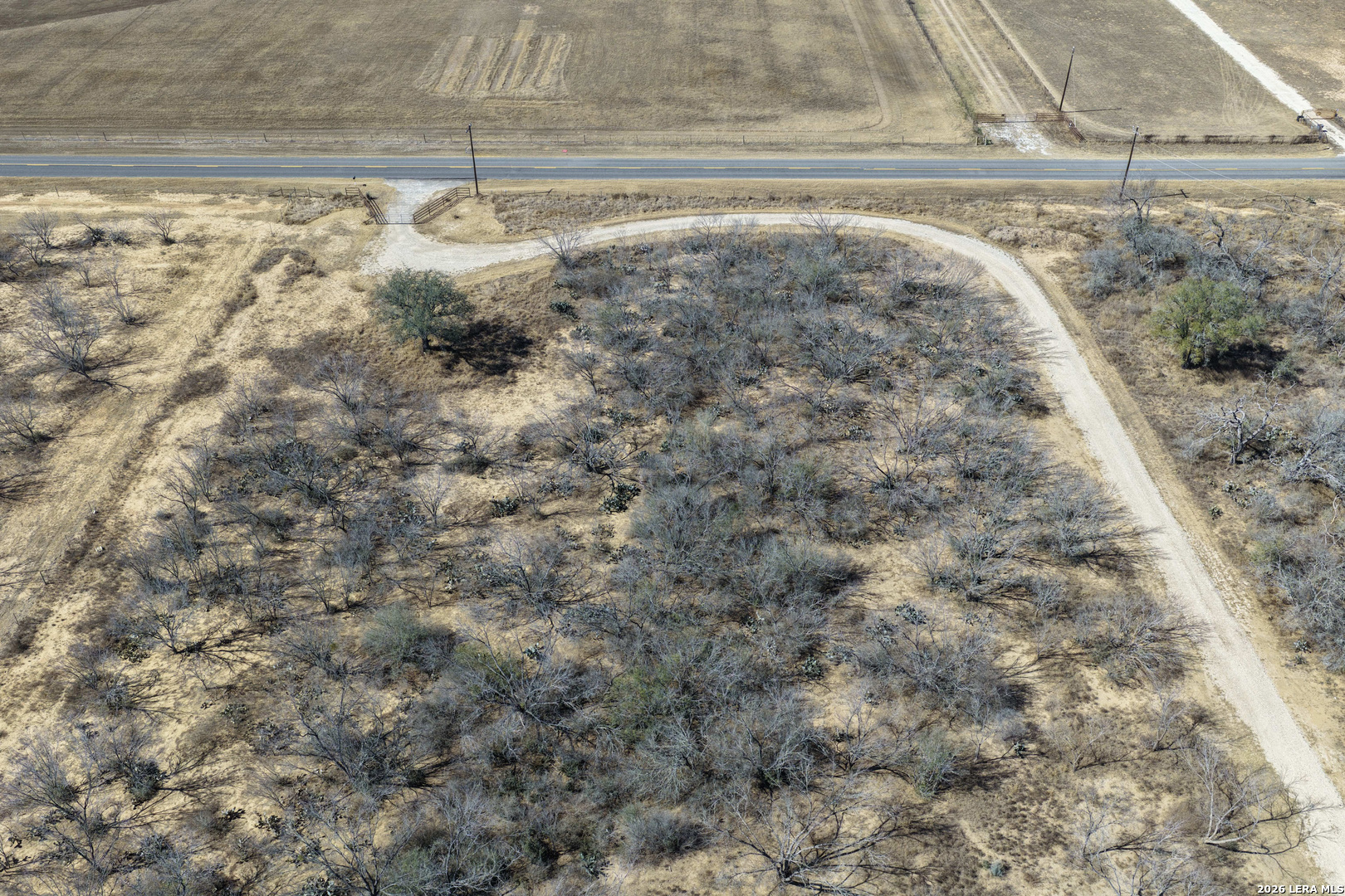 16282 Fm 472 Bigfoot, TX 78005 - Photo 46 of 50