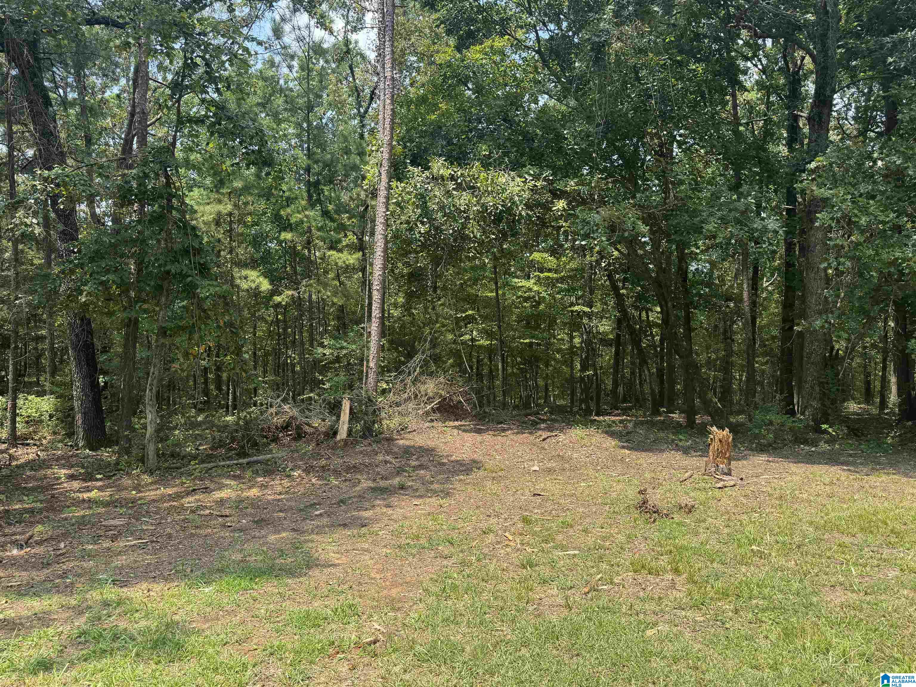 305 Stone Ridge Trail North Anniston, AL 36207 - Photo 44 of 72