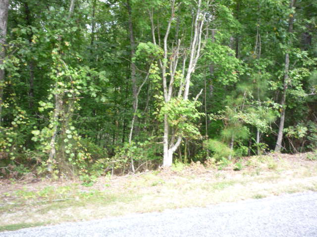 0 Oak Ridge Abbeville, SC 29620 - Photo 1 of 1 Gallery Image 1