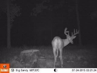 100 Big Sandy Road Mount Vernon, KY 40456 - Photo 9 of 34 Photo 9