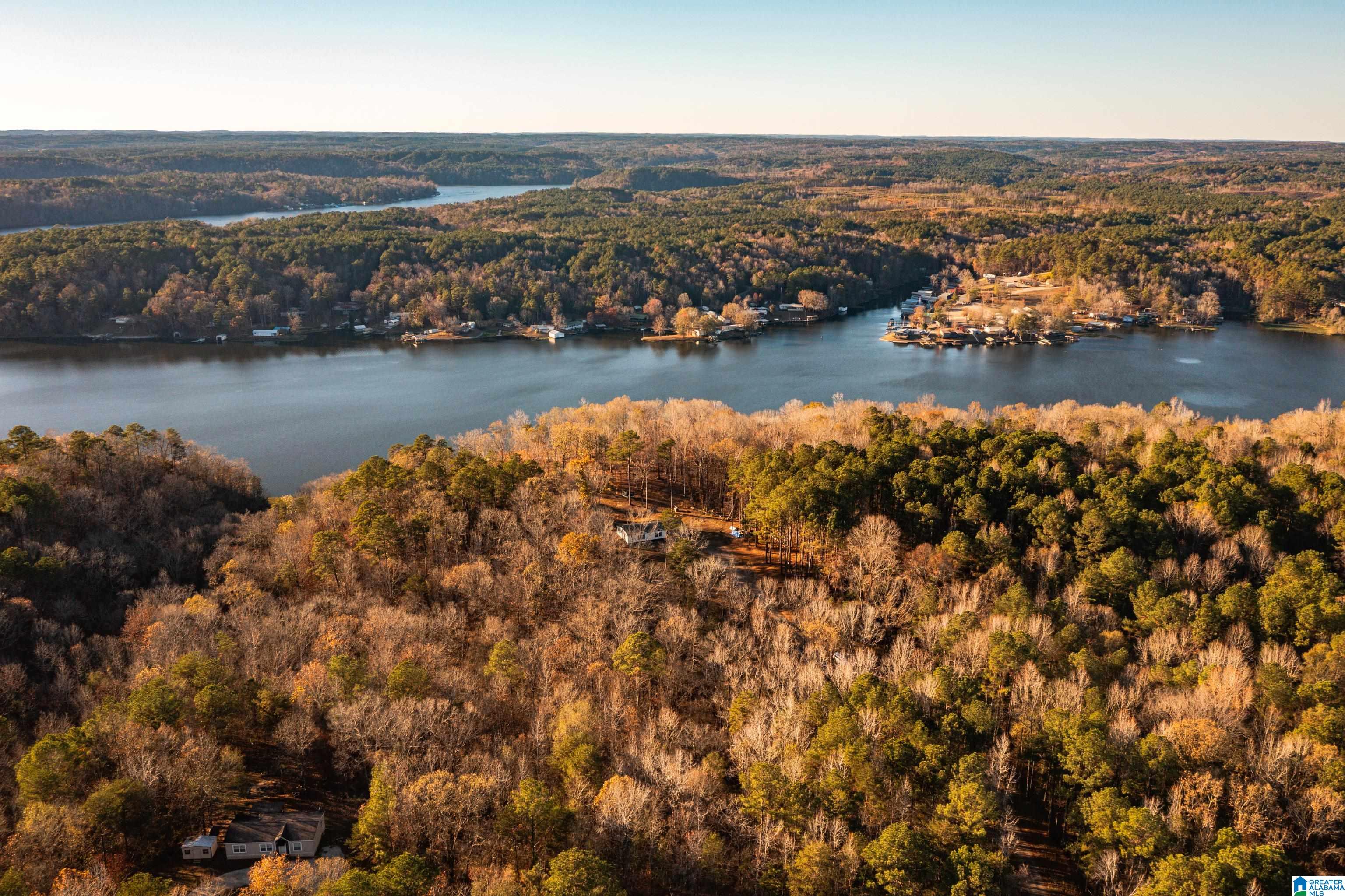 191 Warrior River Highlands Road Adger, AL 35006 - Photo 65 of 81