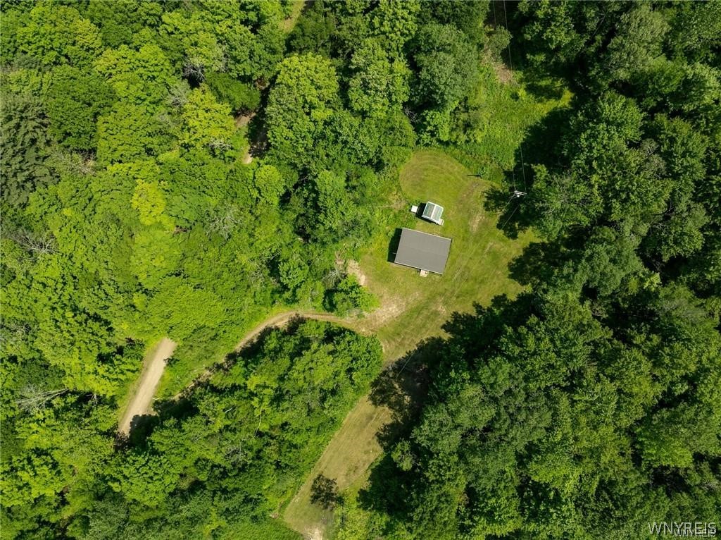 4412 Conley Road Hinsdale, NY 14743 - Photo 15 of 15